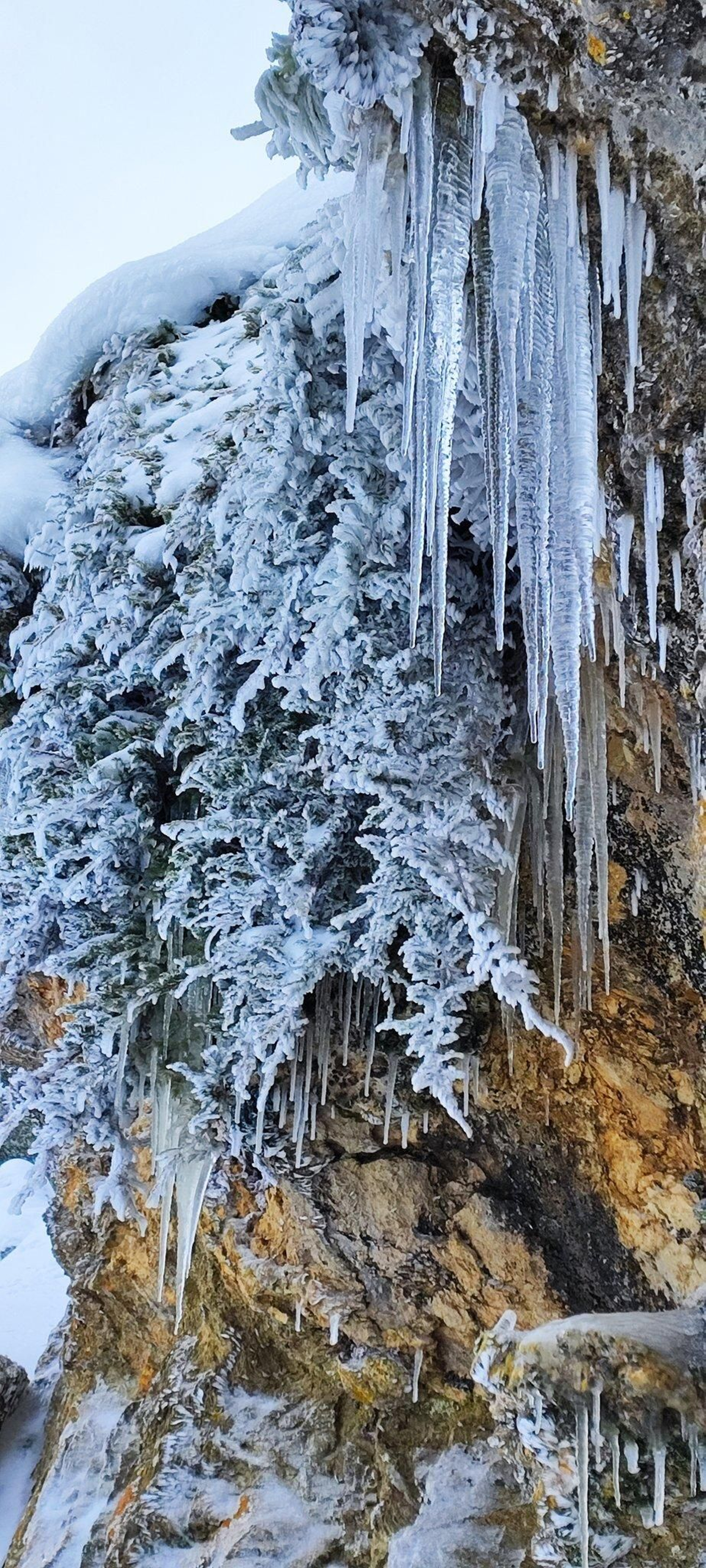 La escarcha reina en la Sierra de las Nieves.