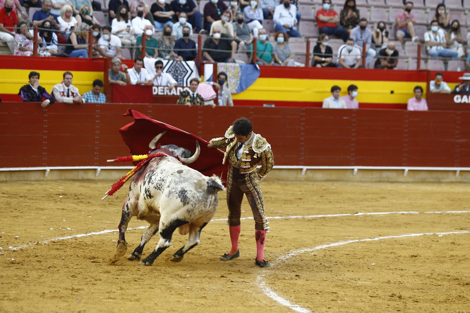 Fotogalería corrida de toros. Cayetano Rivera, Paco Ureña y Roca Rey. Roquetas de Mar.