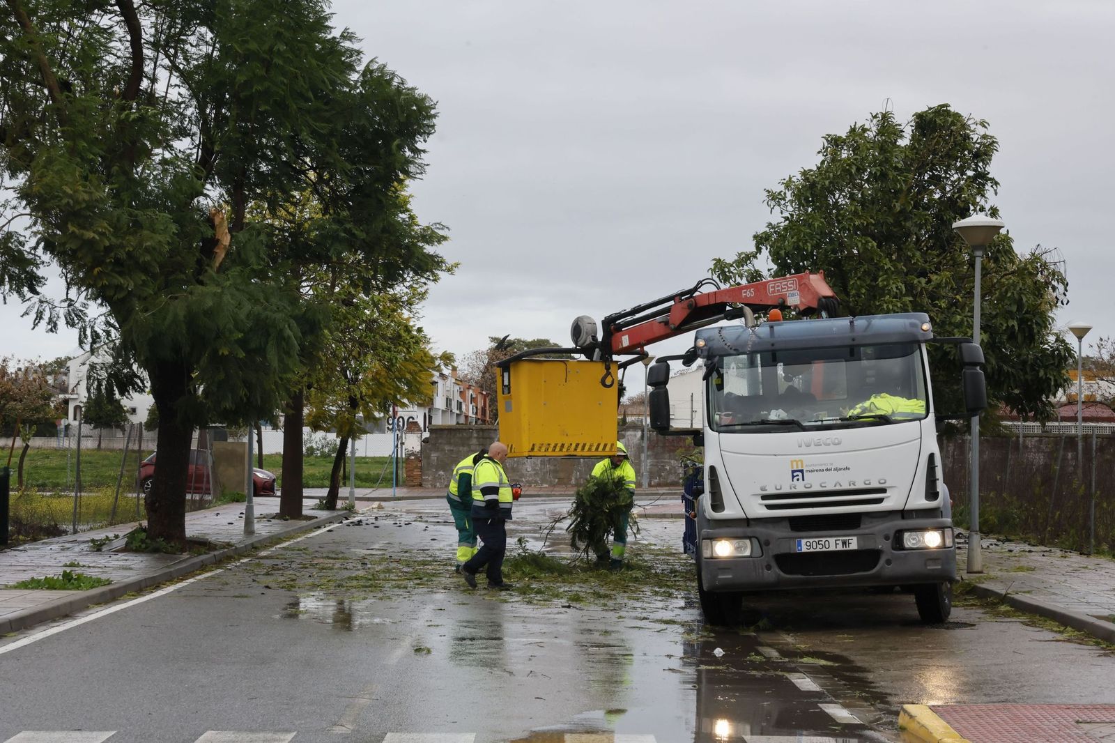 Derribo de árboles como consecuencia de las rachas de viento en la provincia de Sevilla.