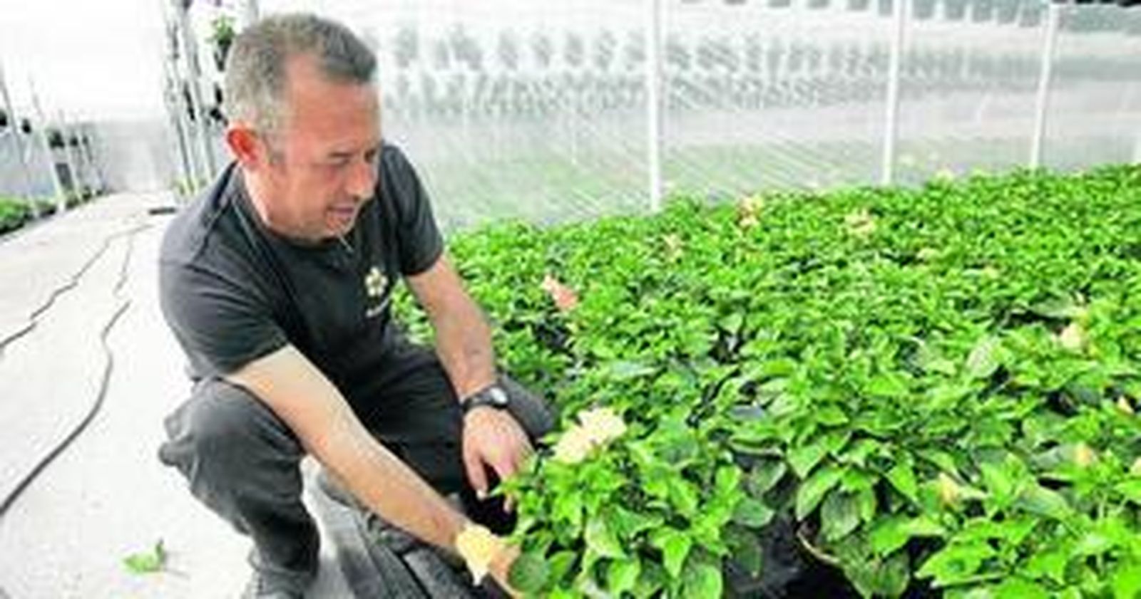 Isidro Fernández, gerente de Albajeser SL, en sus instalaciones ubicadas en Vícar.