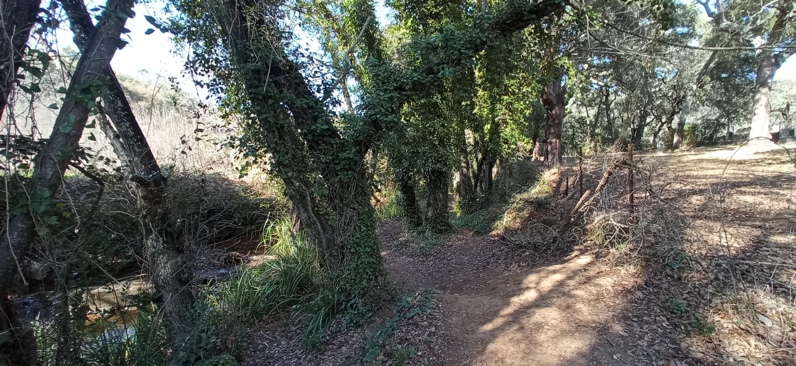 Las imágenes de la ruta de la cascada de Jollarancos y bosque de las letras
