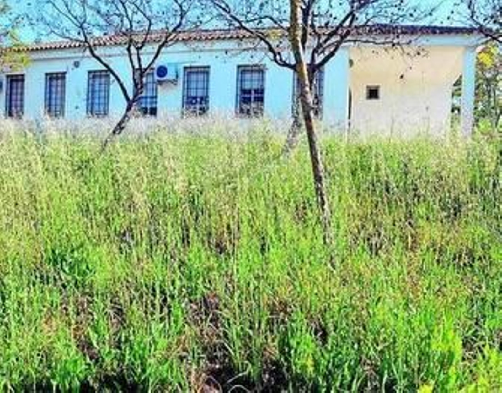 Una imagen retrospectiva de un colegio. Una imagen retrospectiva de un colegio.