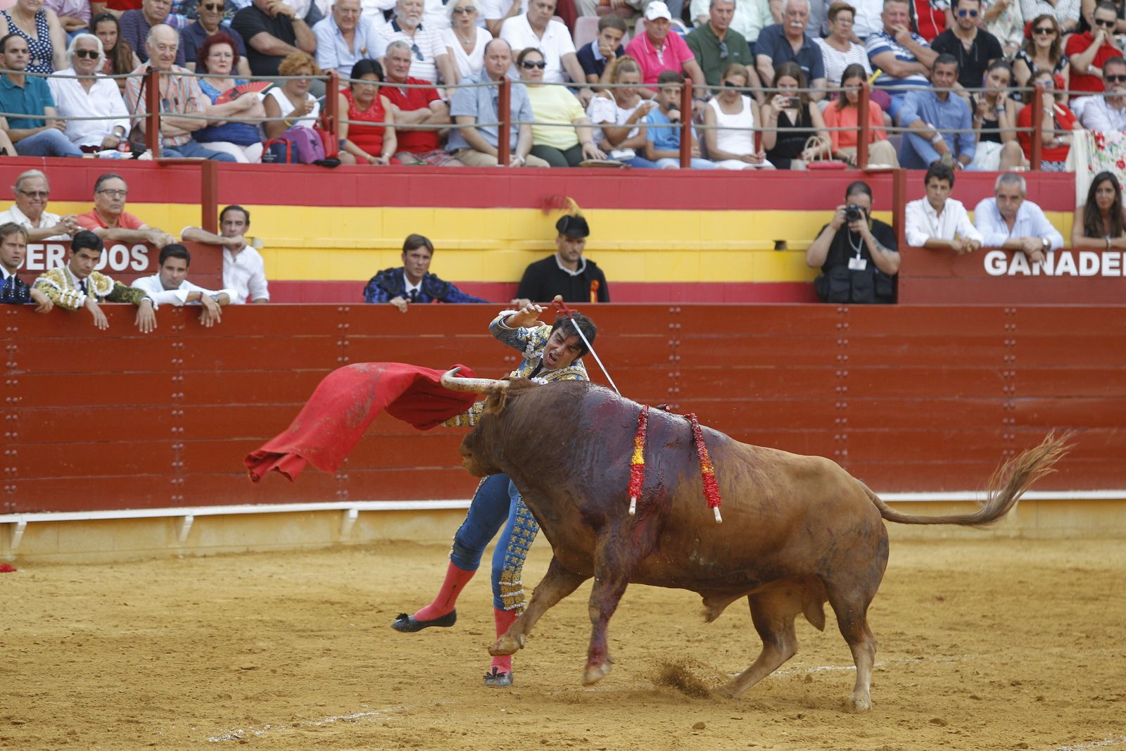 Fotogalería corrida toros Feria Santa Ana-Roquetas de Mar-El Juli-Perera-Aguado