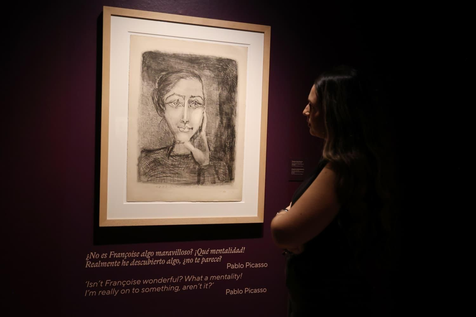 Una imagen de la exposición recién inaugurada en la Casa Natal.