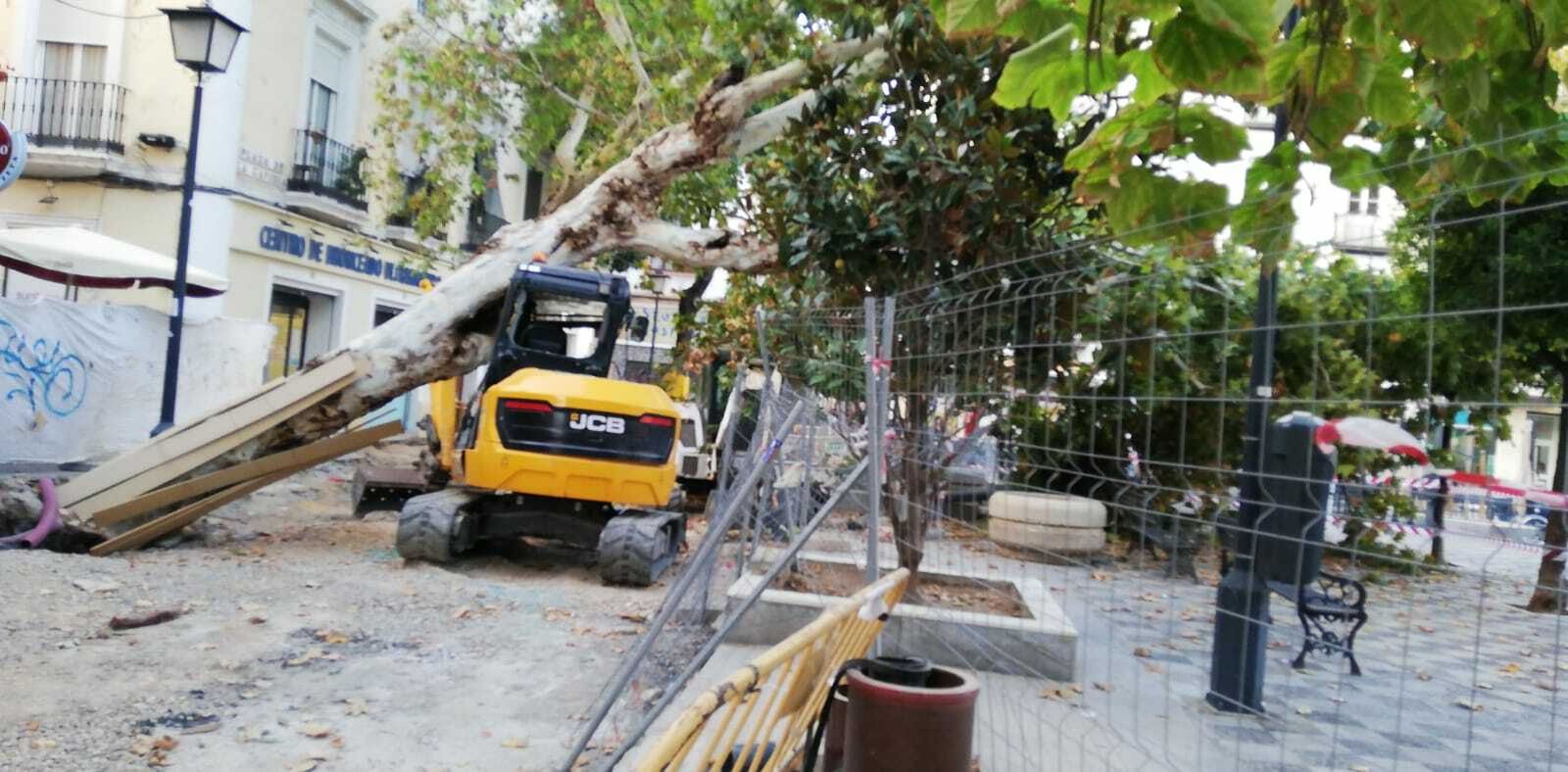 El árbol caído, plátano de sombra, sobre una de las máquinas de la zona de obras de la Plaza de la Gavidia.