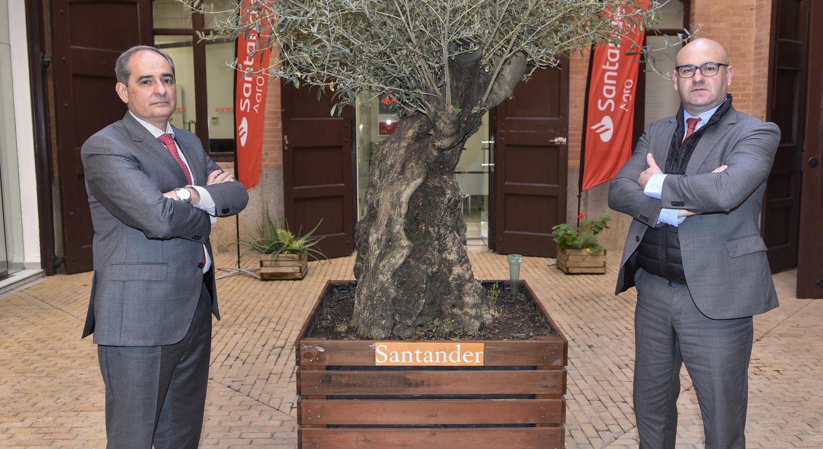 Ricardo Pozas a la izquiera y José Antonio Lara, a la derecha, flanqueando al olivo centenario que está en el palacio de Yanduri, sede de Banco de Santander en Sevilla.