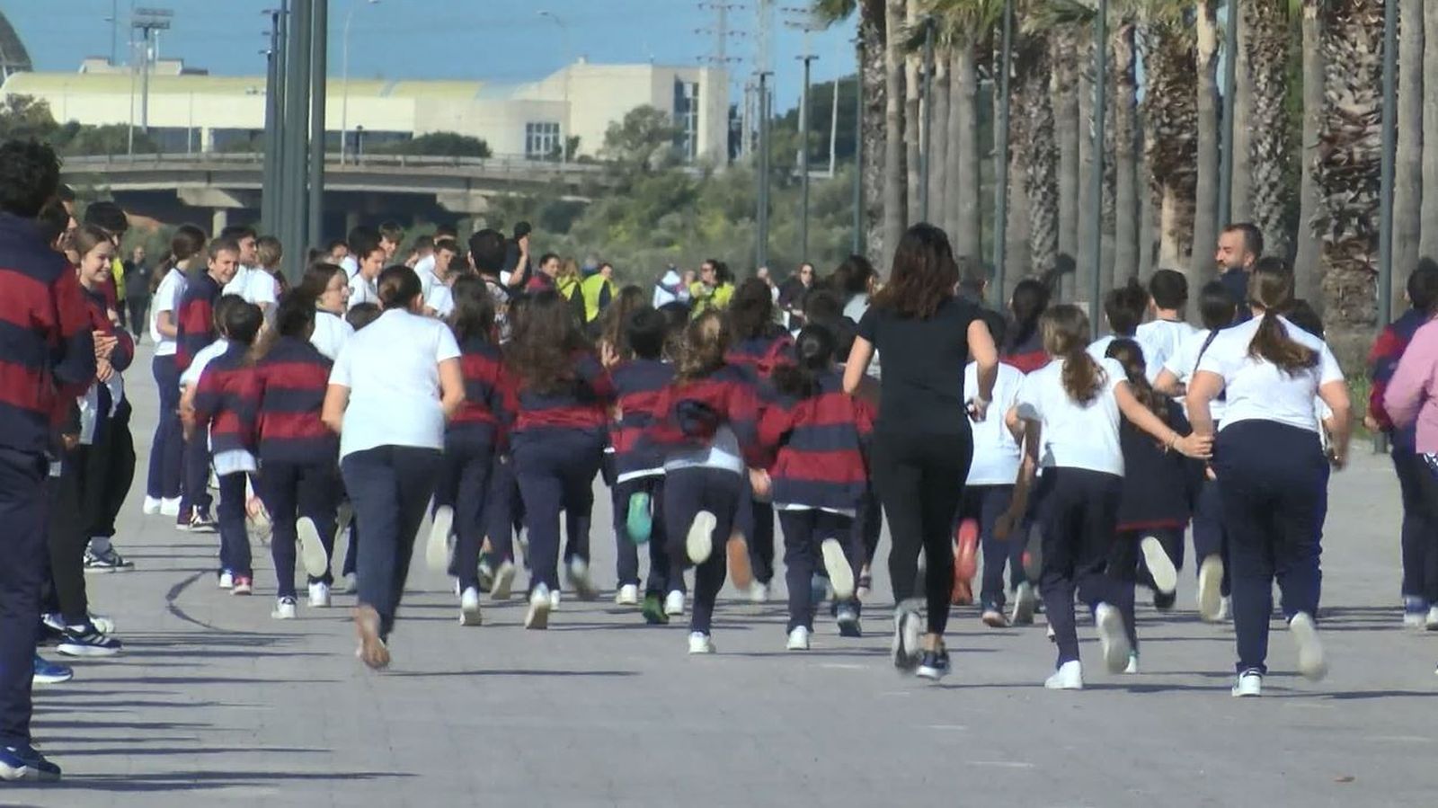 Carrera por la investigación de la leucemia infantil del colegio Juan pablo II de Puerto Real