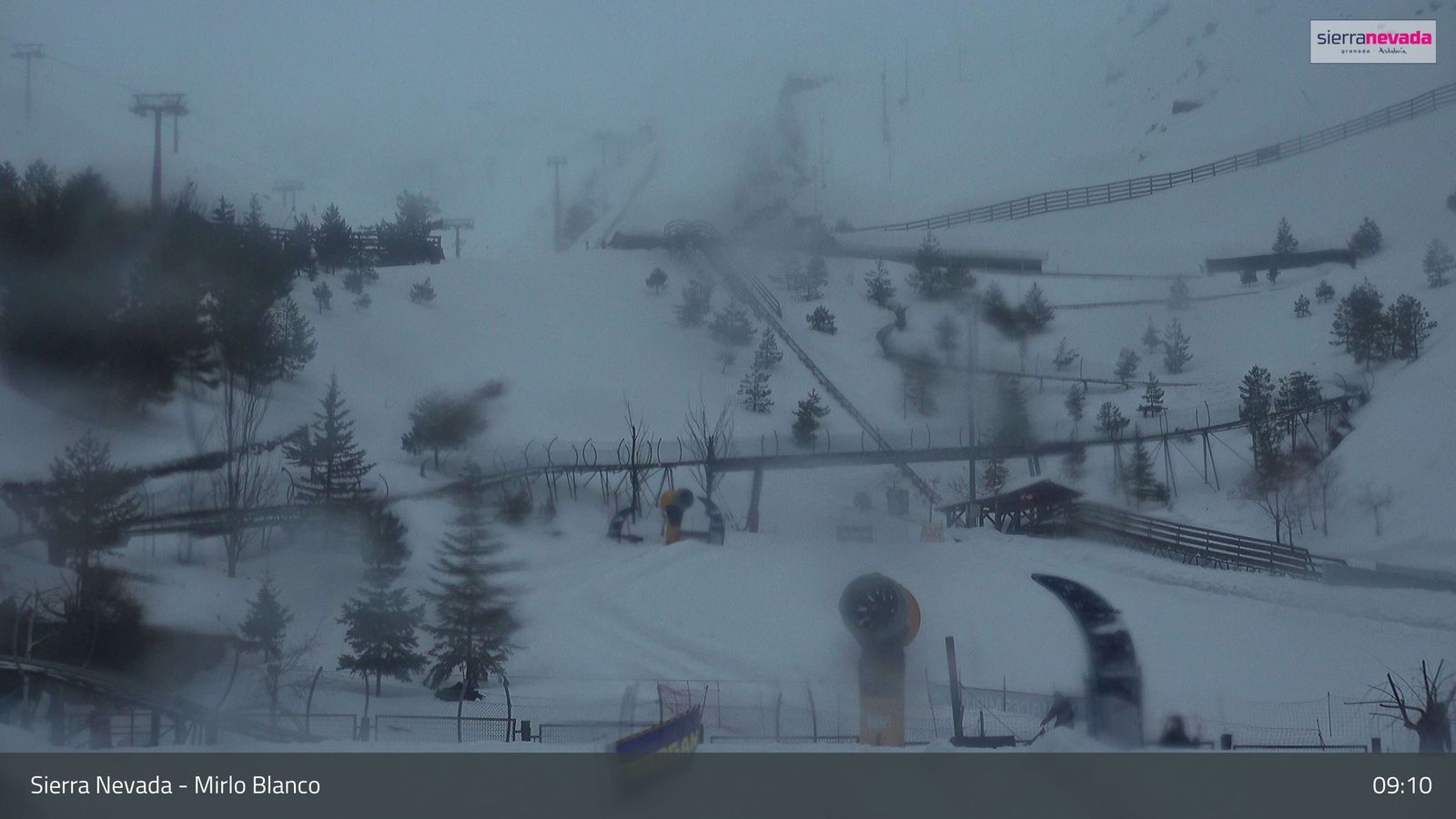 La zona de Mirlo Blanco esta mañana