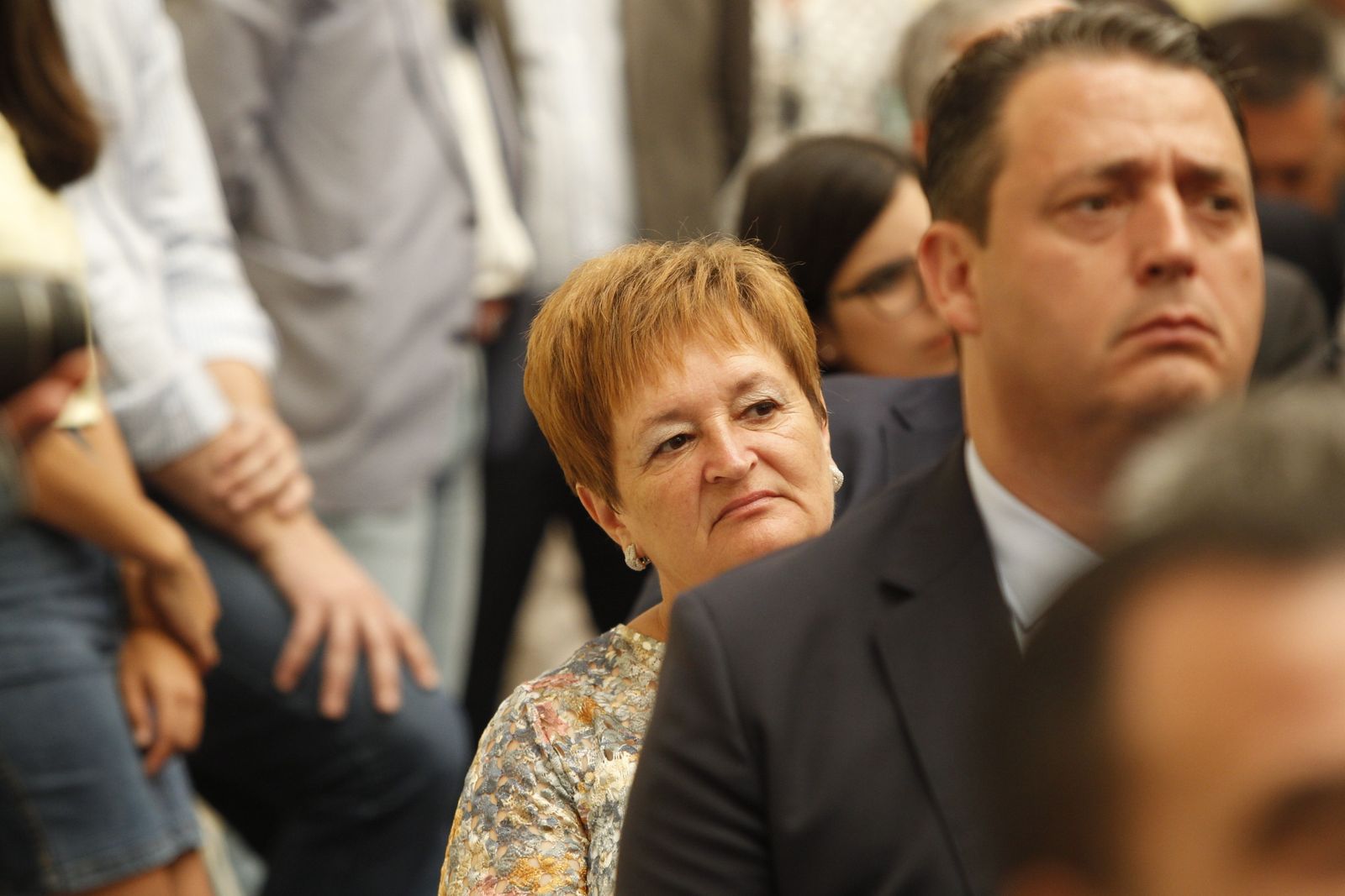 Pleno investidura Presidente Diputación de Almería. Javier Aureliano García