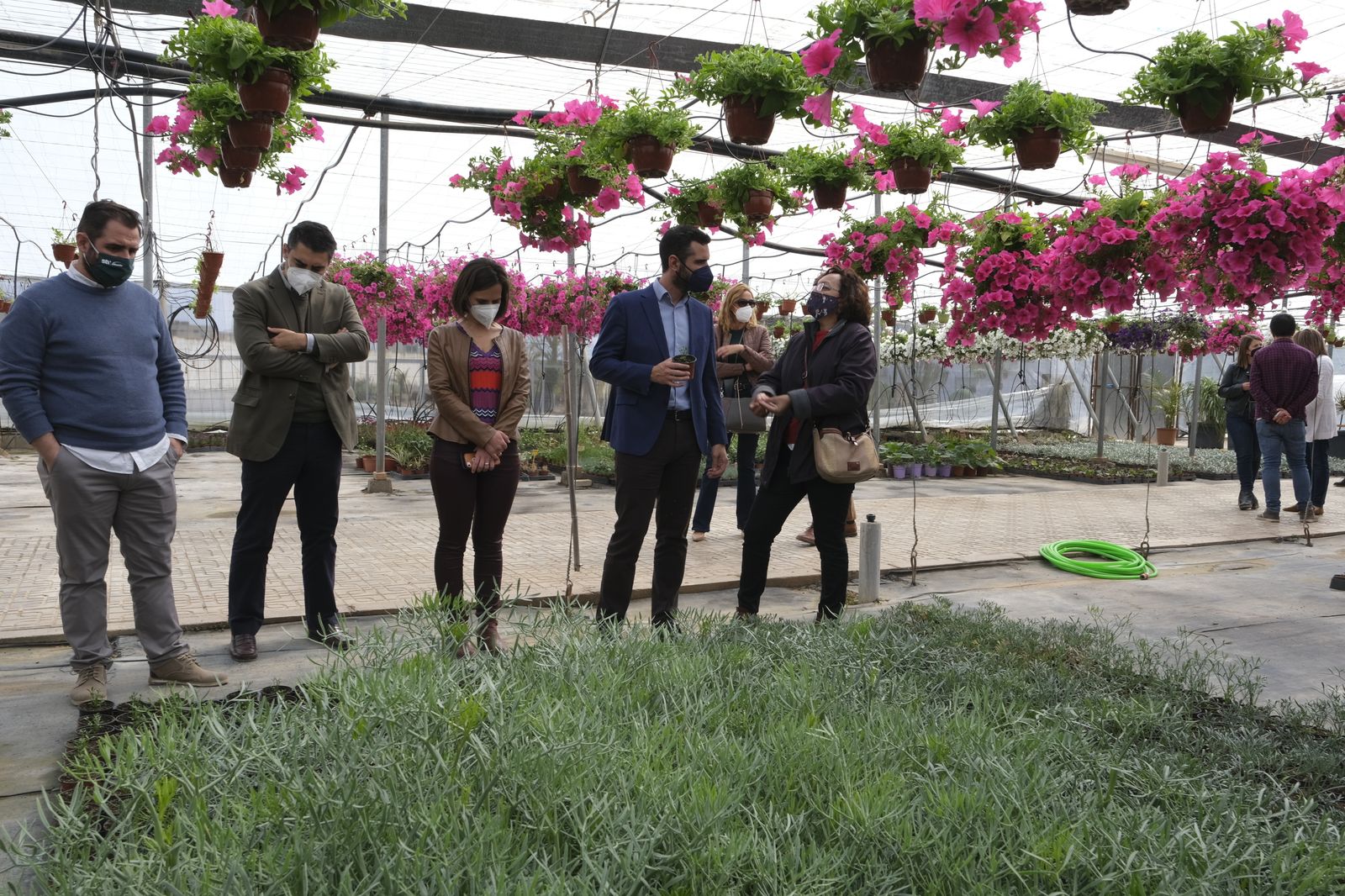 Fotogalería de la visita al vivero municipal de Almería.