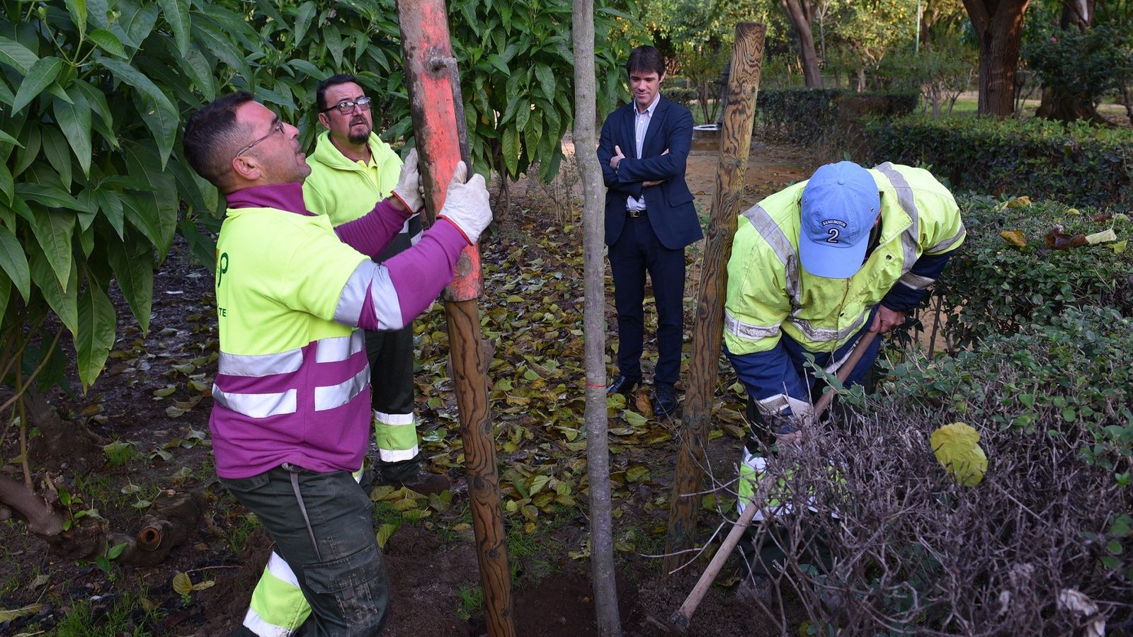 El concejal David Guevara observa las labores de plantación en los Jardines del Valle.