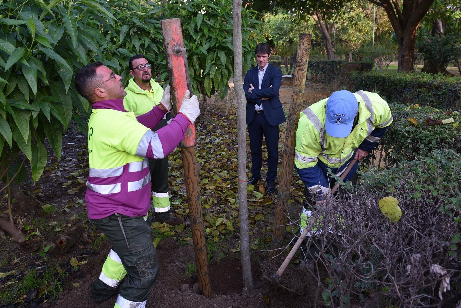 El concejal David Guevara observa las labores de plantación en los Jardines del Valle.
