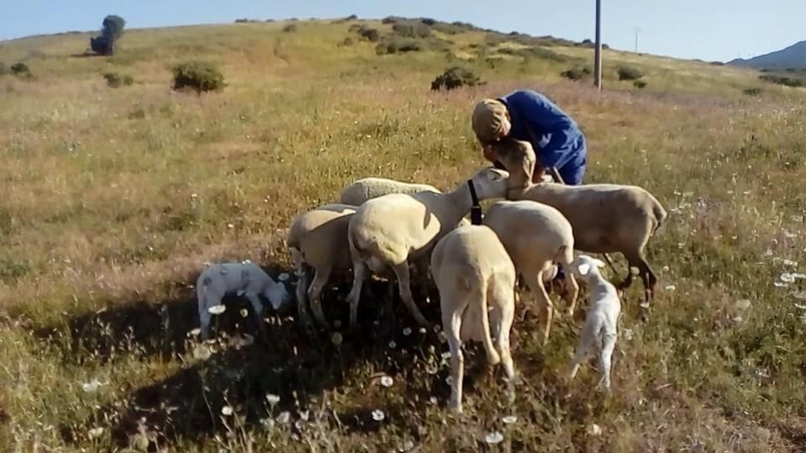 Guillermo Cana, con sus animales