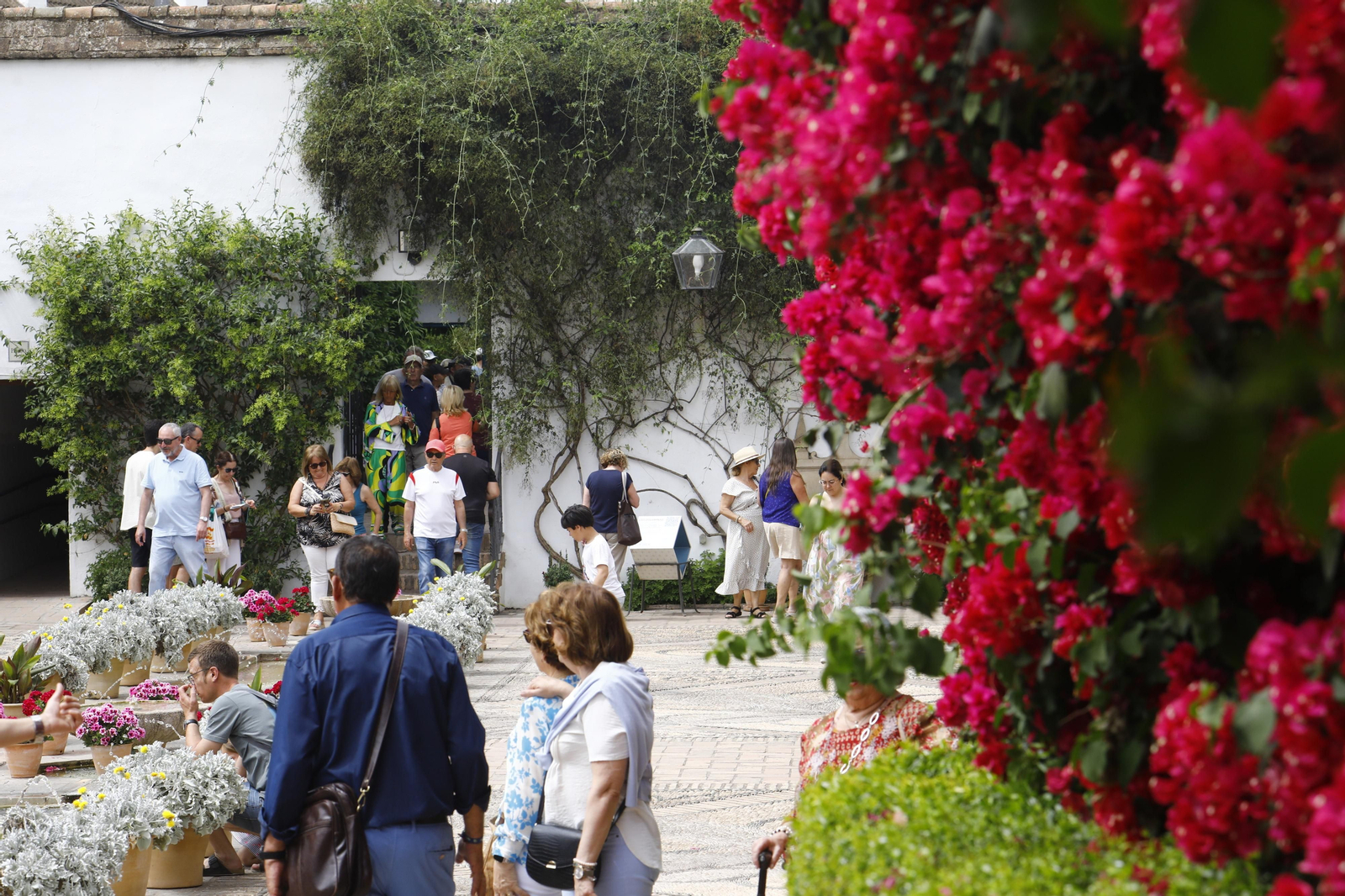 La jornada de puertas abiertas en el Palacio de Viana de Cordoba, en imágenes