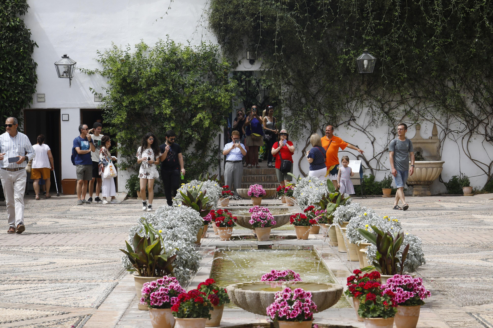 La jornada de puertas abiertas en el Palacio de Viana de Cordoba, en imágenes