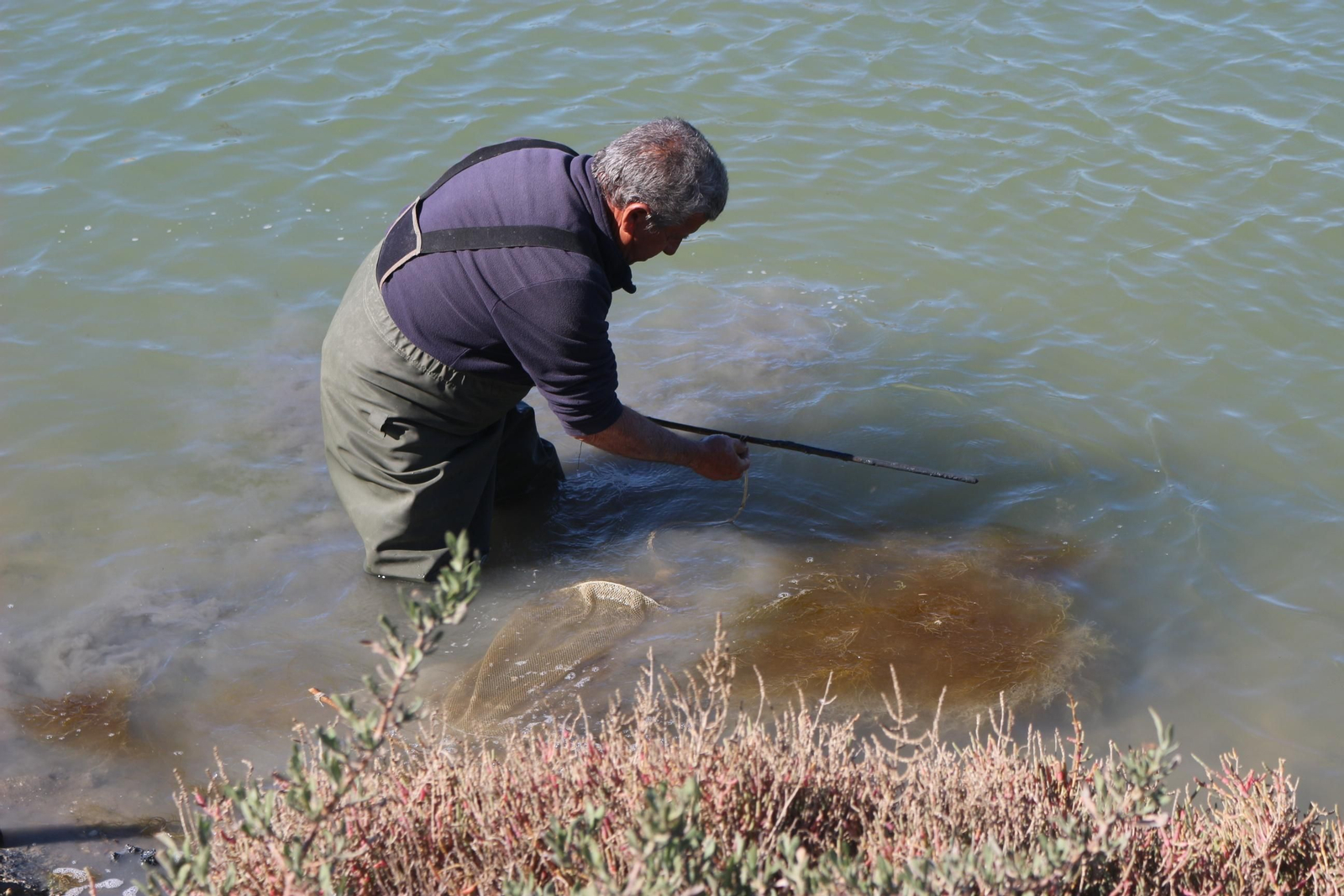 Así es la Salina de Balbanera en Puerto Real