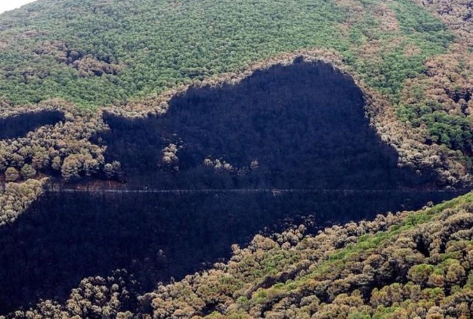 Zonas quemadas por el fuego en Sierra Bermeja