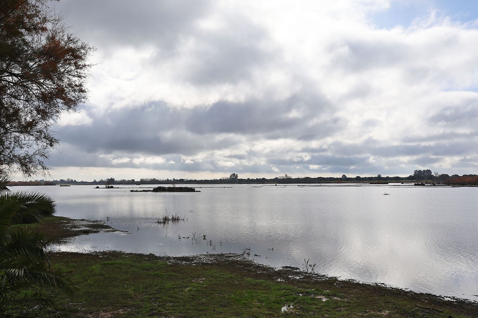 Estado actual en el que se encuentran las Marismas del Rocío tras las últimas lluvias