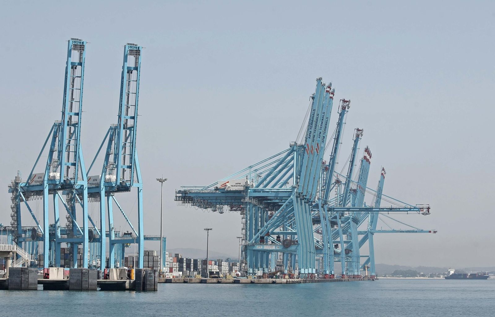 El conflicto de la estiba lleva a Maersk a reducir un 13%  su actividad en Algeciras