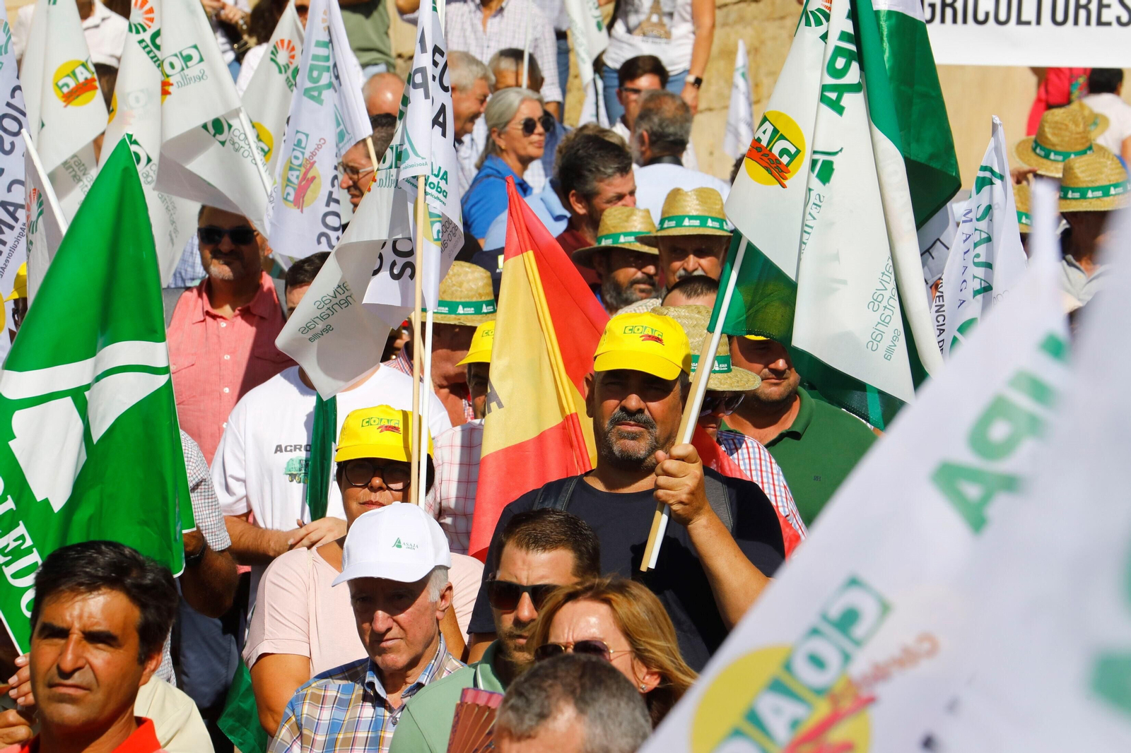 La protesta del sector agrario contra las políticas de la UE en Córdoba, en imágenes