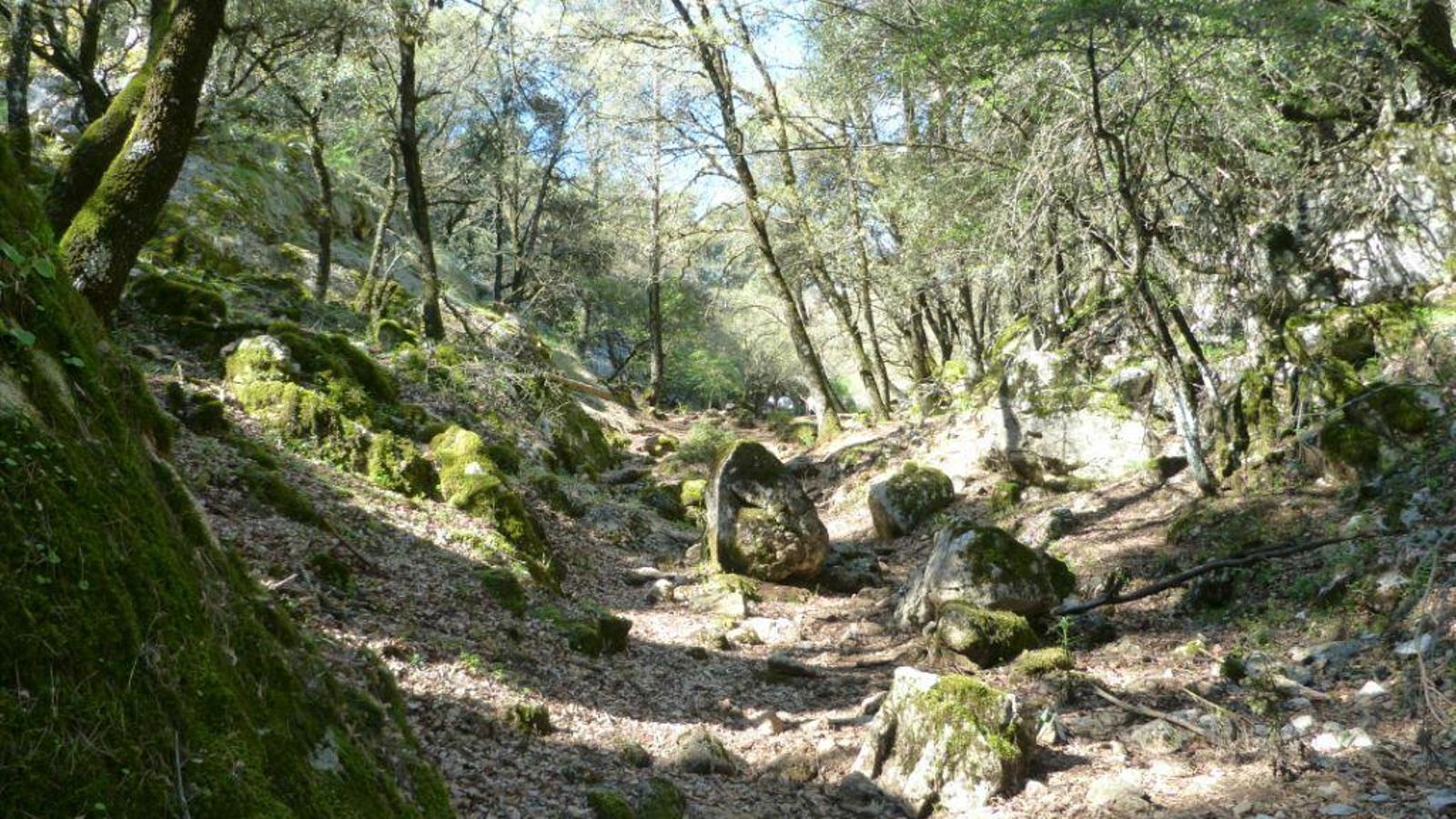 Entrada y ascenso a la Sierra del Jobo. Entrada y ascenso a la Sierra del Jobo.