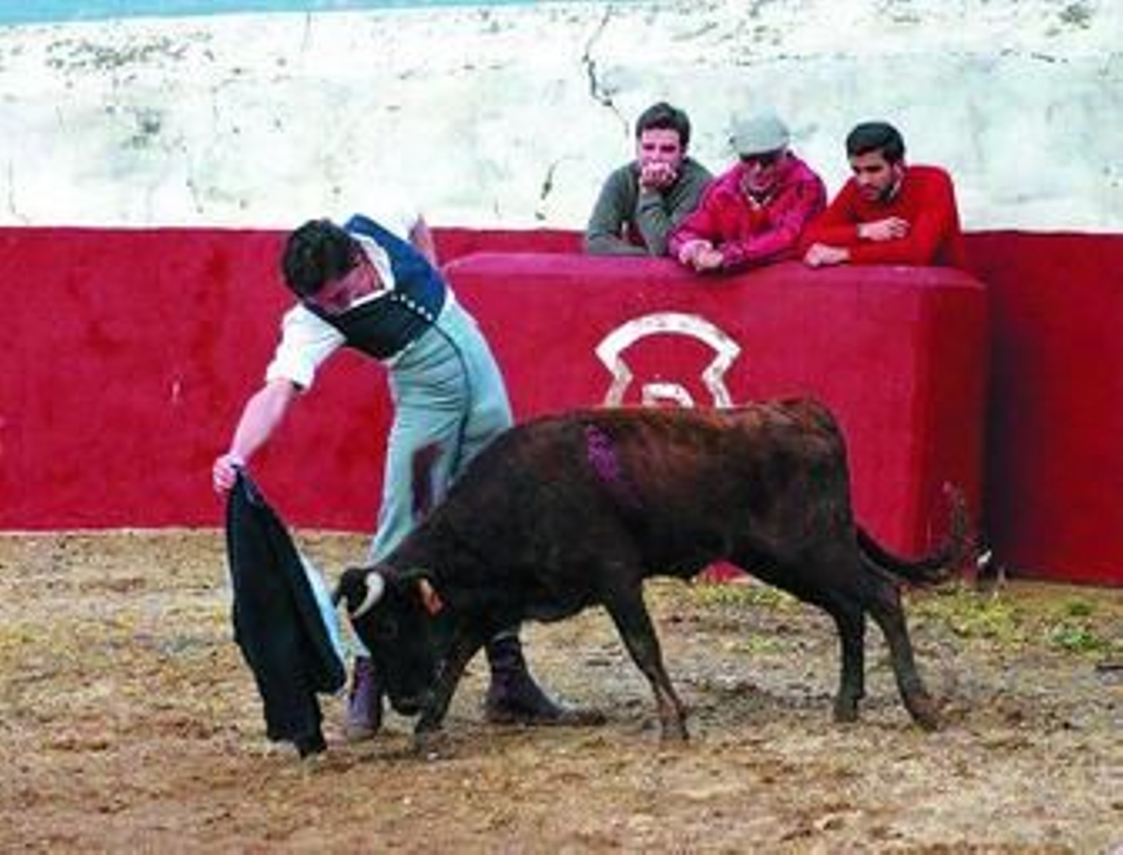 Octavio Chacón en 'Los Derramaderos', templando una noble becerra con la chaquetilla pellizcada.