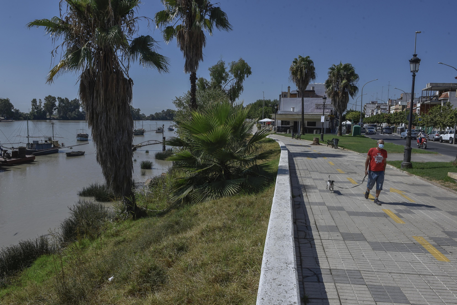 Virus del Nilo: la resistencia en los vecinos de Coria y Puebla del Río