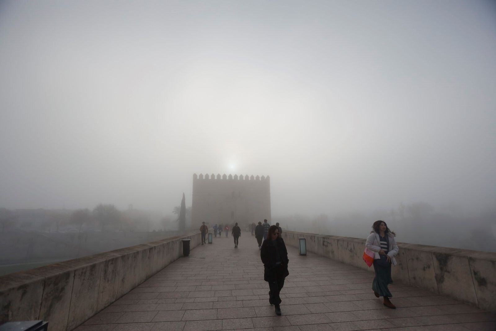 Córdoba comienza la semana cubierta de niebla, en imágenes