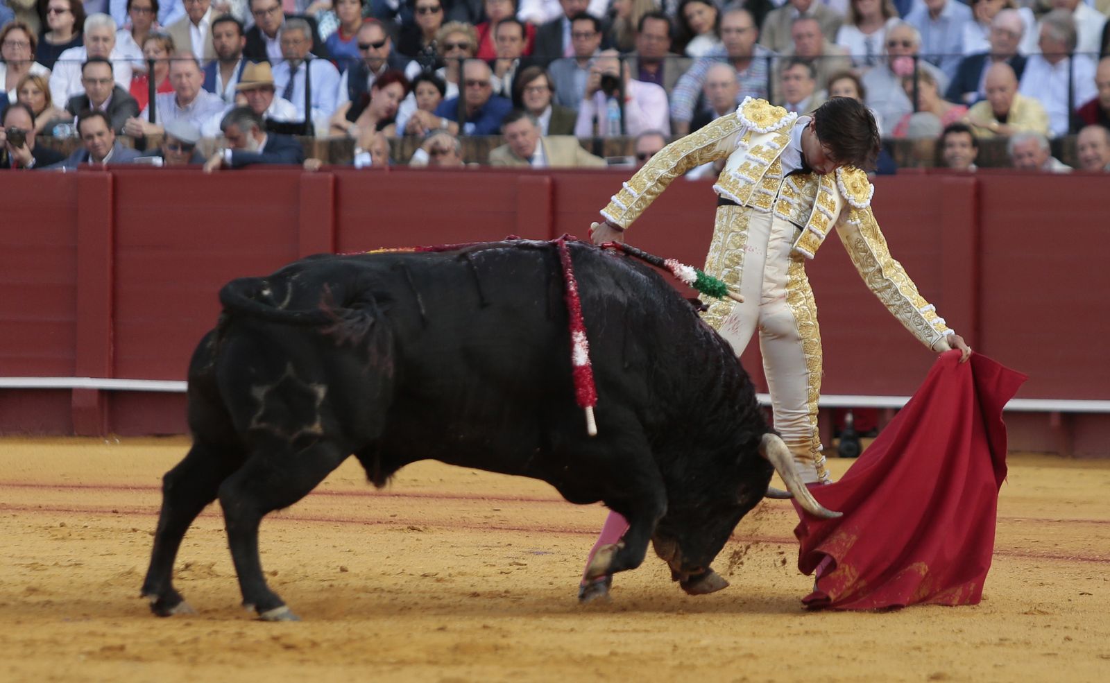 Las imágenes de la undécima de abono de la Maestranza