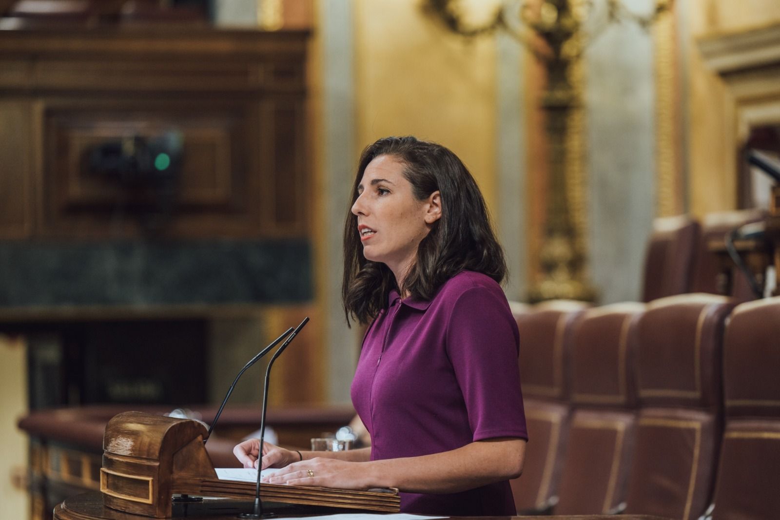 Rocío de Meer en el Congreso de los Diputados