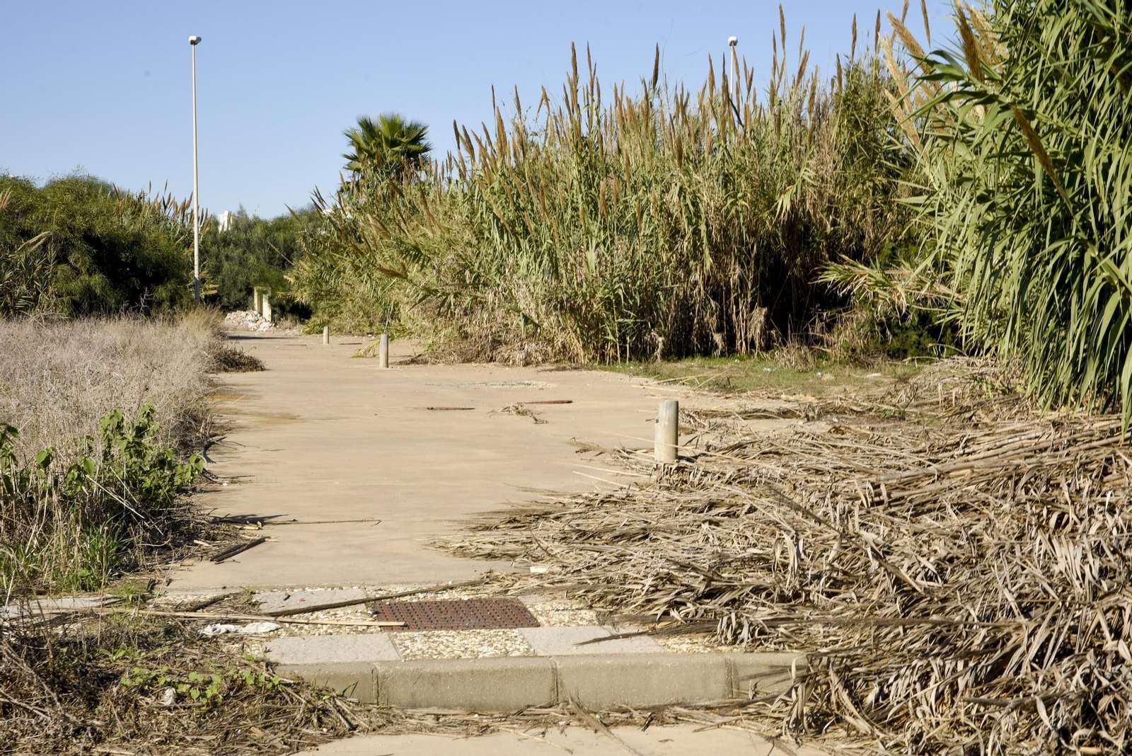 Las fotos de los terrenos del Conchal, en La Línea