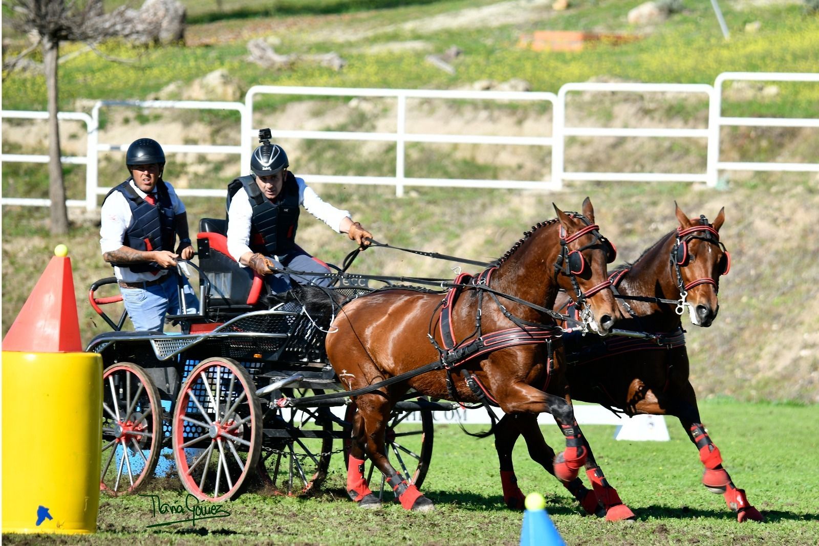 El onubense Prudencio Cortes de la Miyar se proclama campeón de España de Enganches