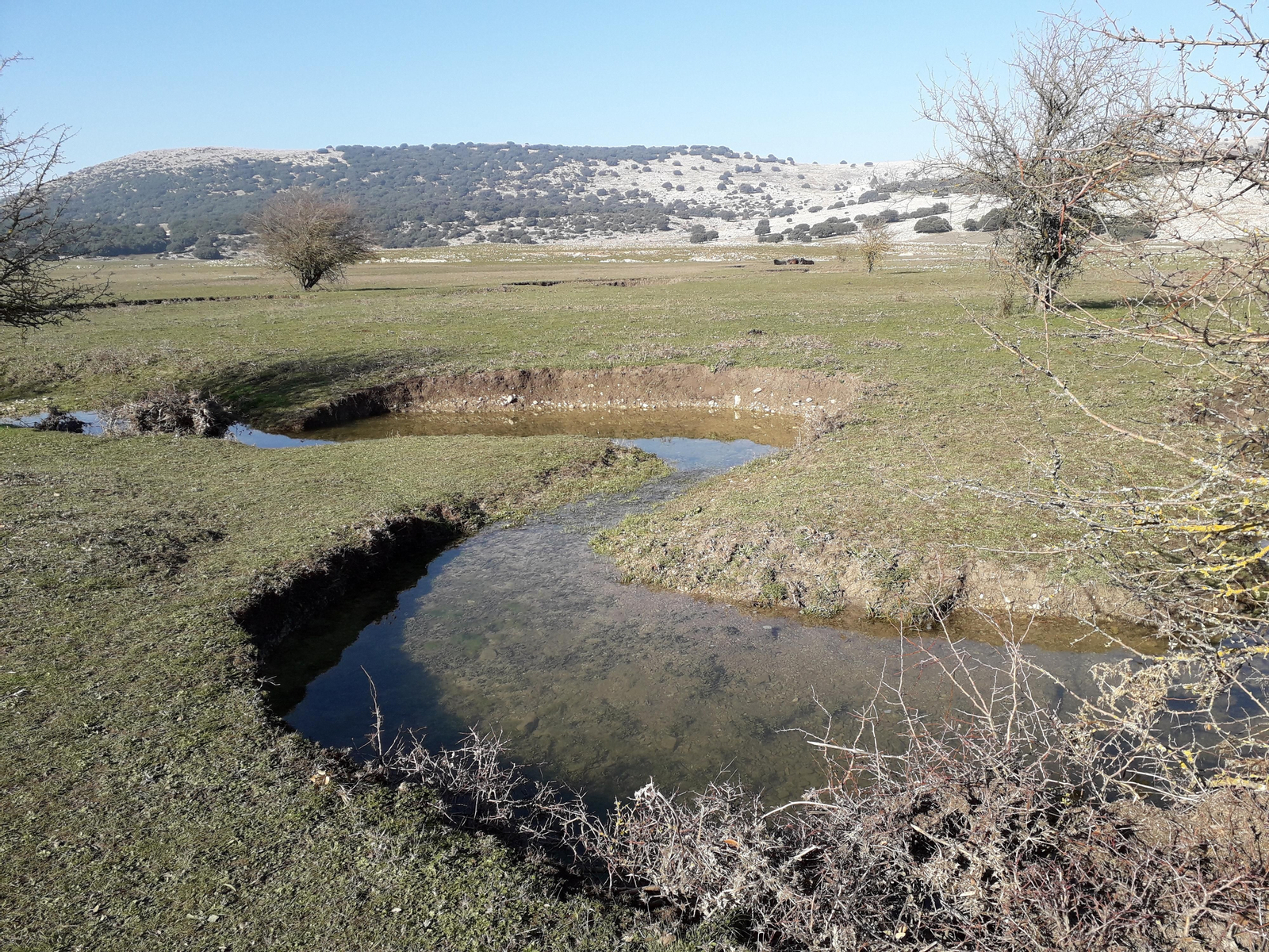 Serpenteos del río Bailón. Los ríos de Córdoba se llenan de vida