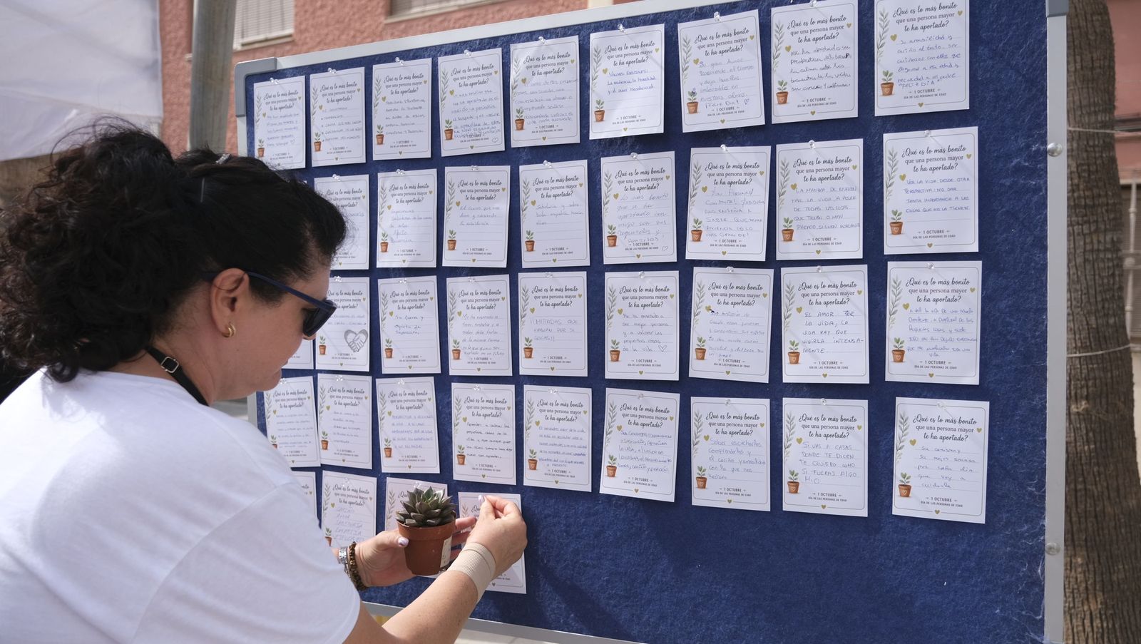 El Día de las Personas de Edad en Adra, organizado por el Ayuntamiento y Clece, en imágenes