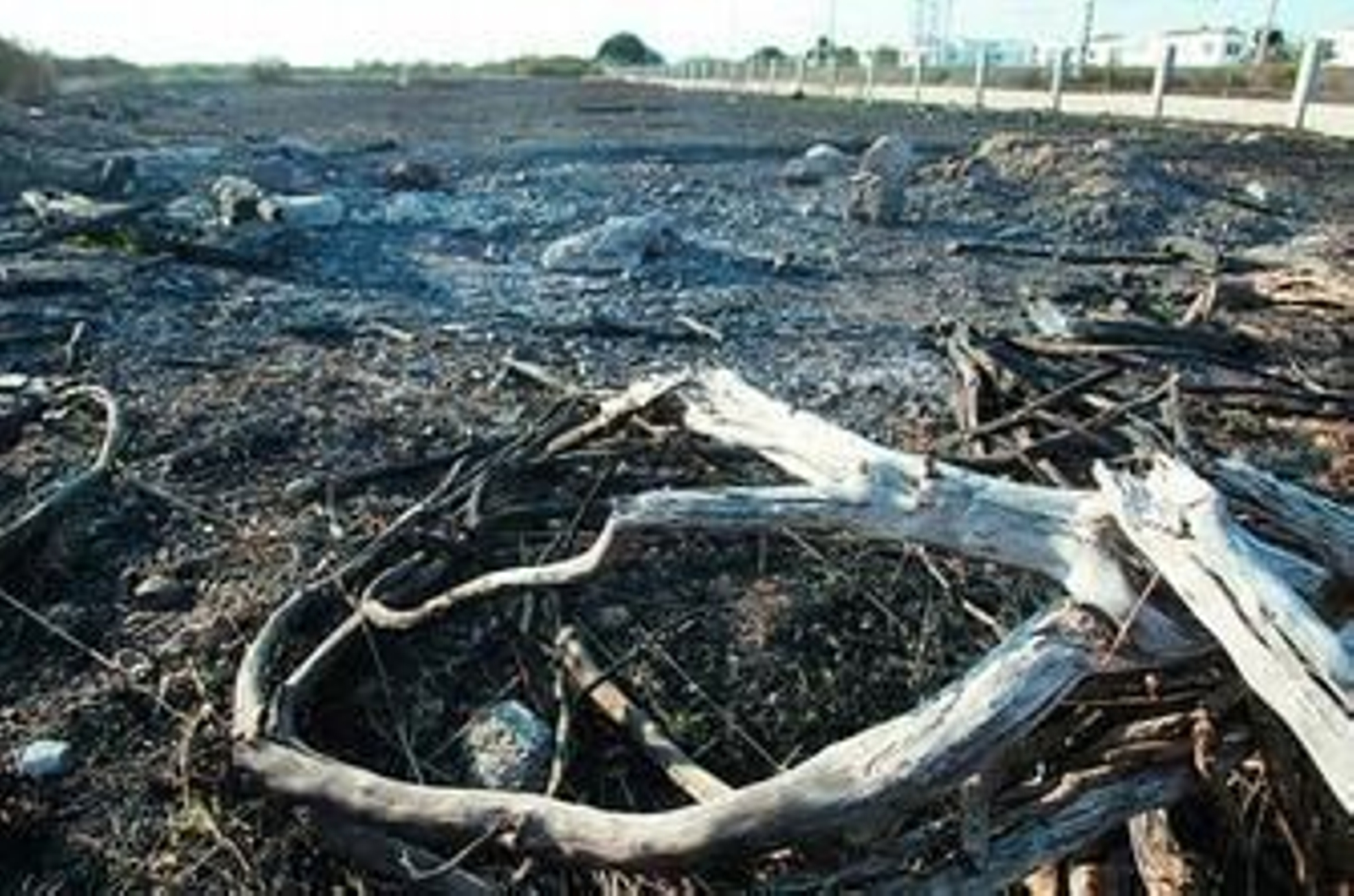 Terrenos de entrevías donde irá ubicado el centro comercial.