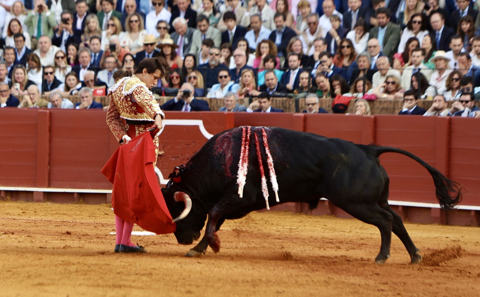 Las mejores imágenes de la corrida de toros de Juan Ortega, Roca Rey y Pablo Aguado