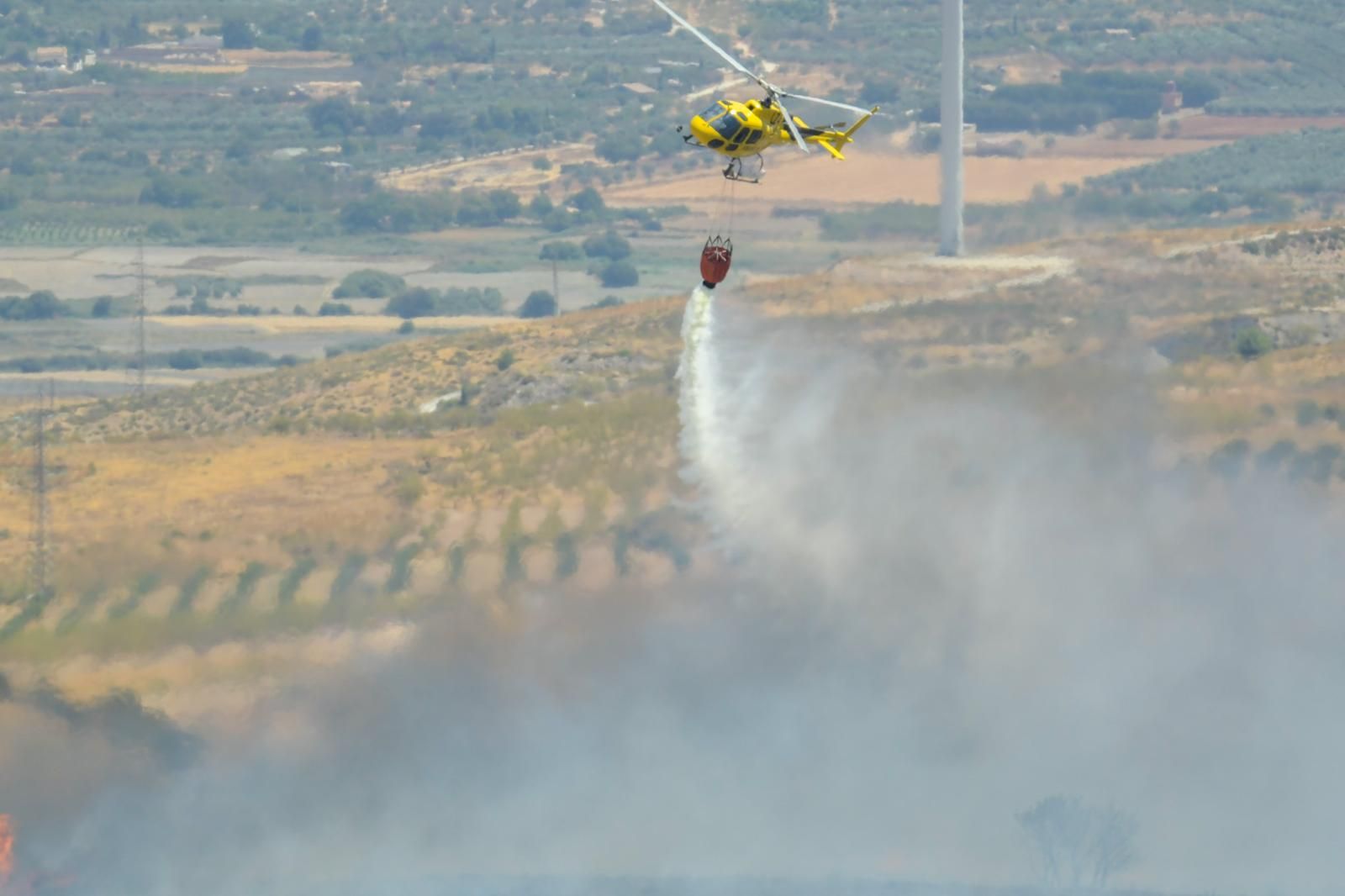 El incendio en el parque eólico de Padul, en fotos