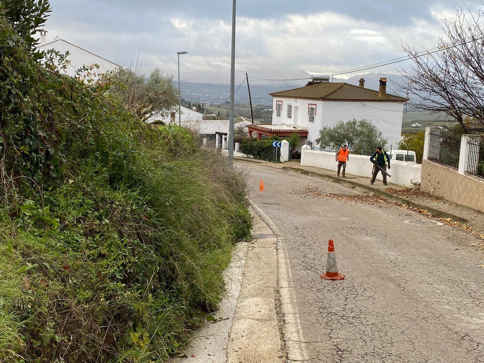 Pedanía rondeña de Los Prados junto a la que se ubicarían las instalaciones.