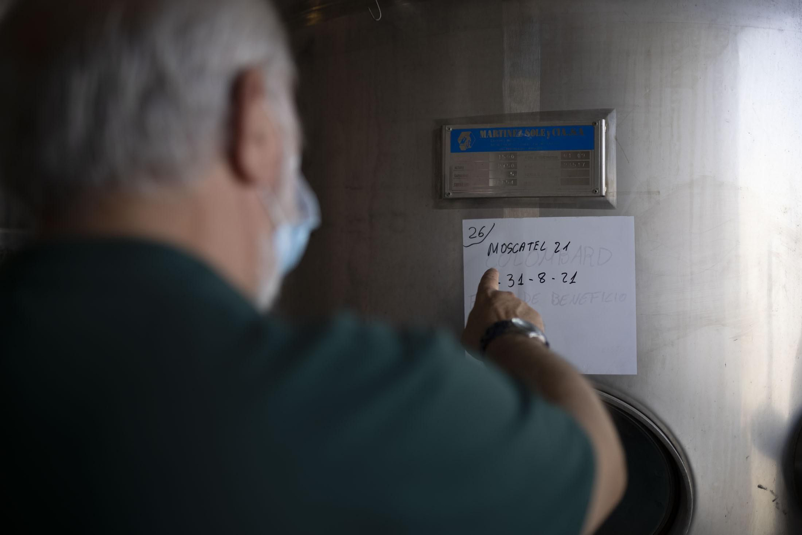 Imágenes de la vendimia en el Condado de Huelva
