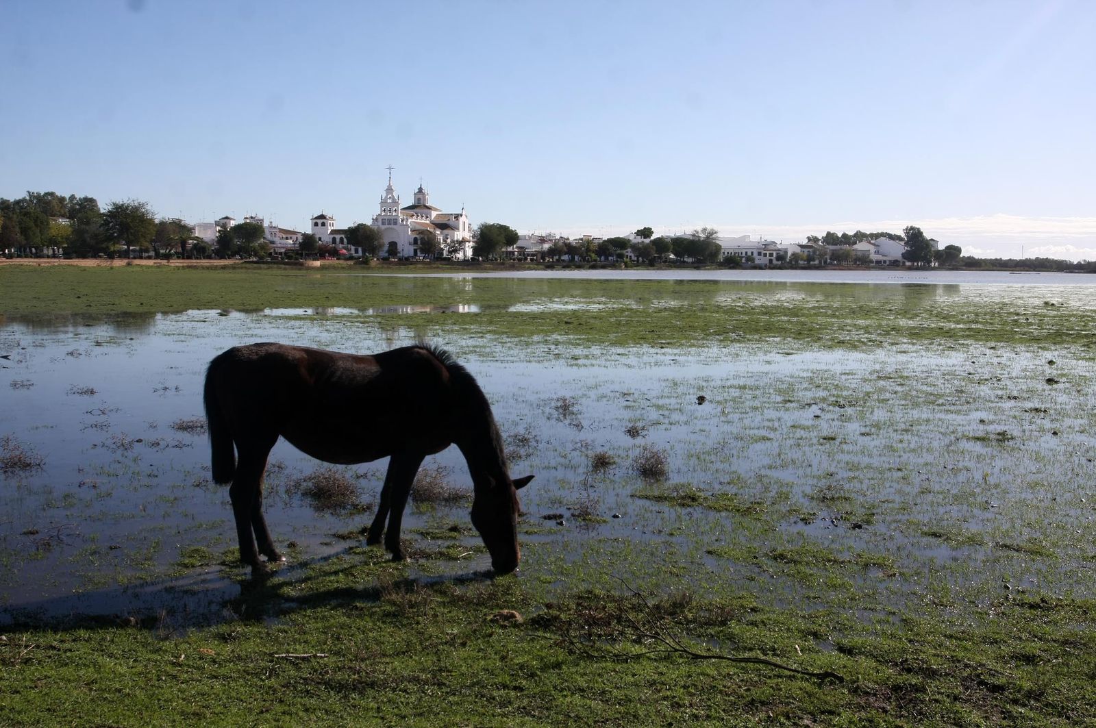 Imágenes de la marisma de El Rocío y de la laguna de El Portil tras las últimas lluvias