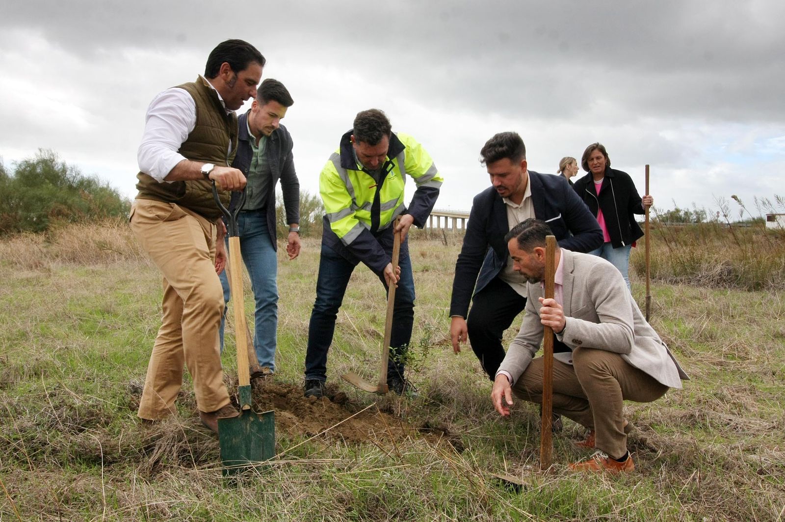 Imágenes de la plantación de árboles en los Llanos de Bacuta, en el Paraje Natural Marismas del Odiel, Huelva