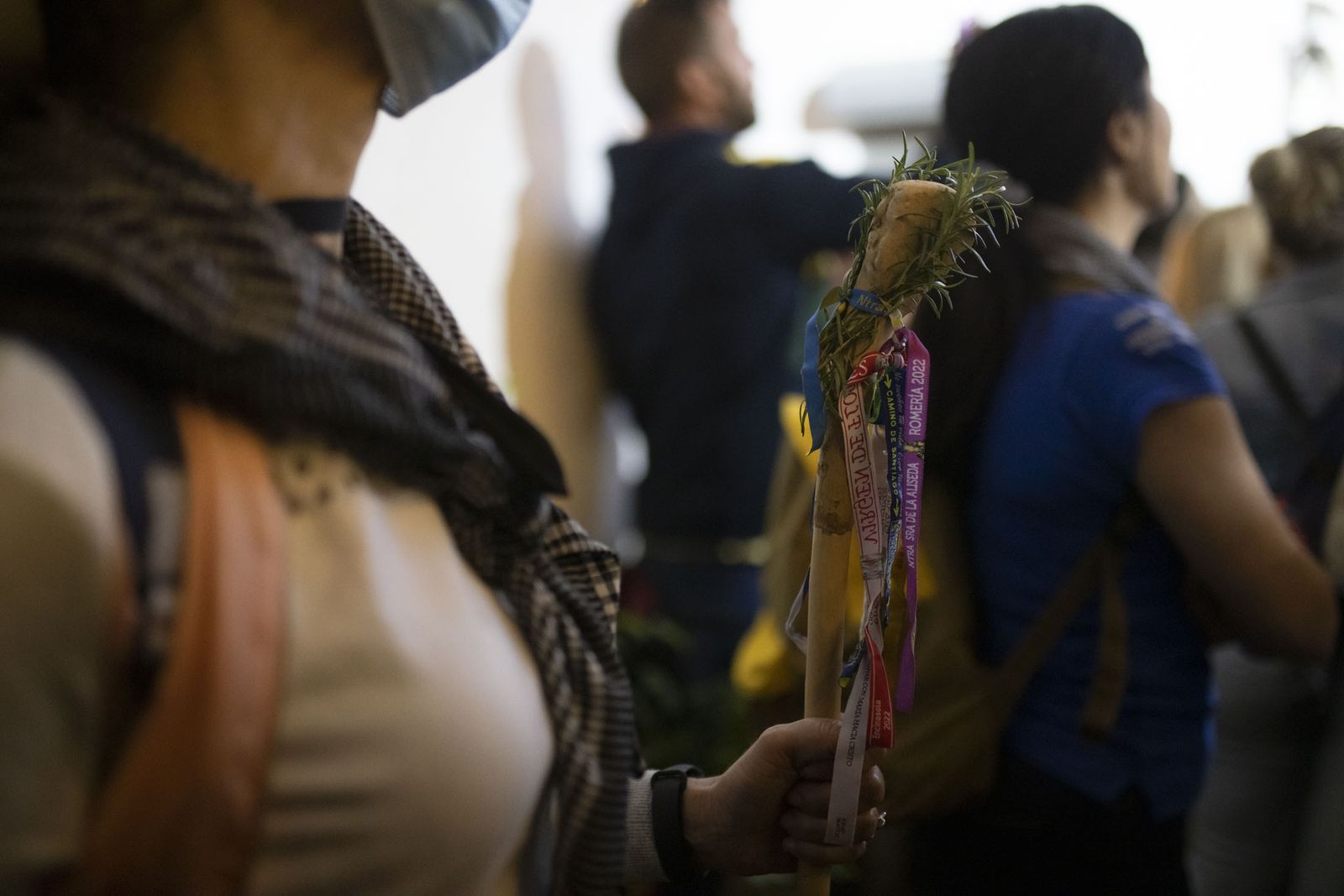 Imágenes del traslado de la Virgen del Rocío de Almonte hasta El Chaparral