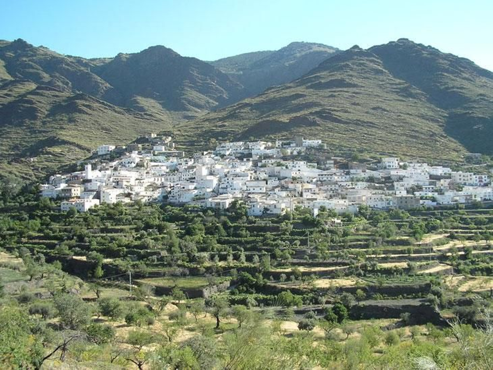 Senés: cuarto pueblo más rico con 14.788 euros per cápita