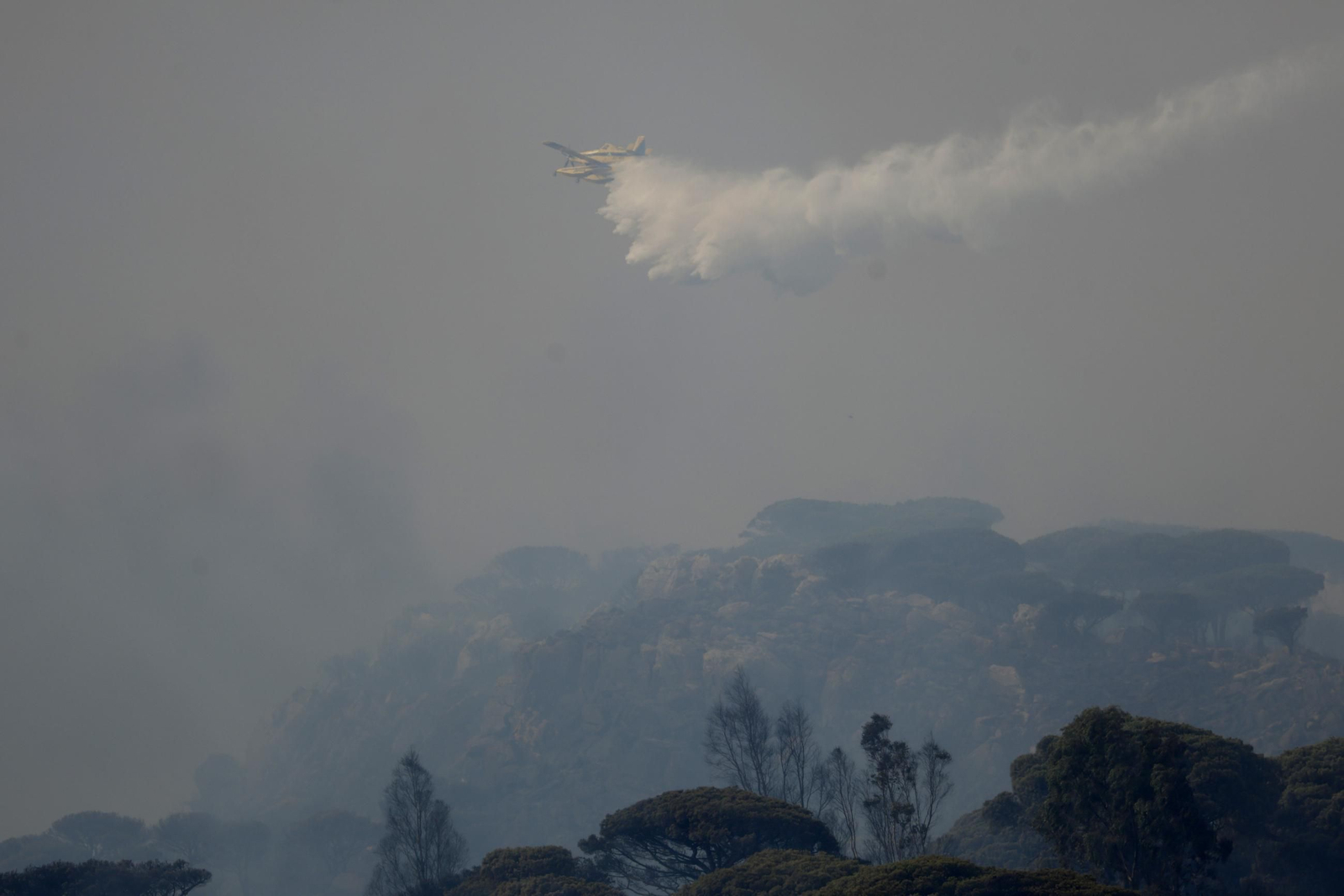 Las fotos del incendio forestal entre la Torre y Valdevaqueros en Tarifa
