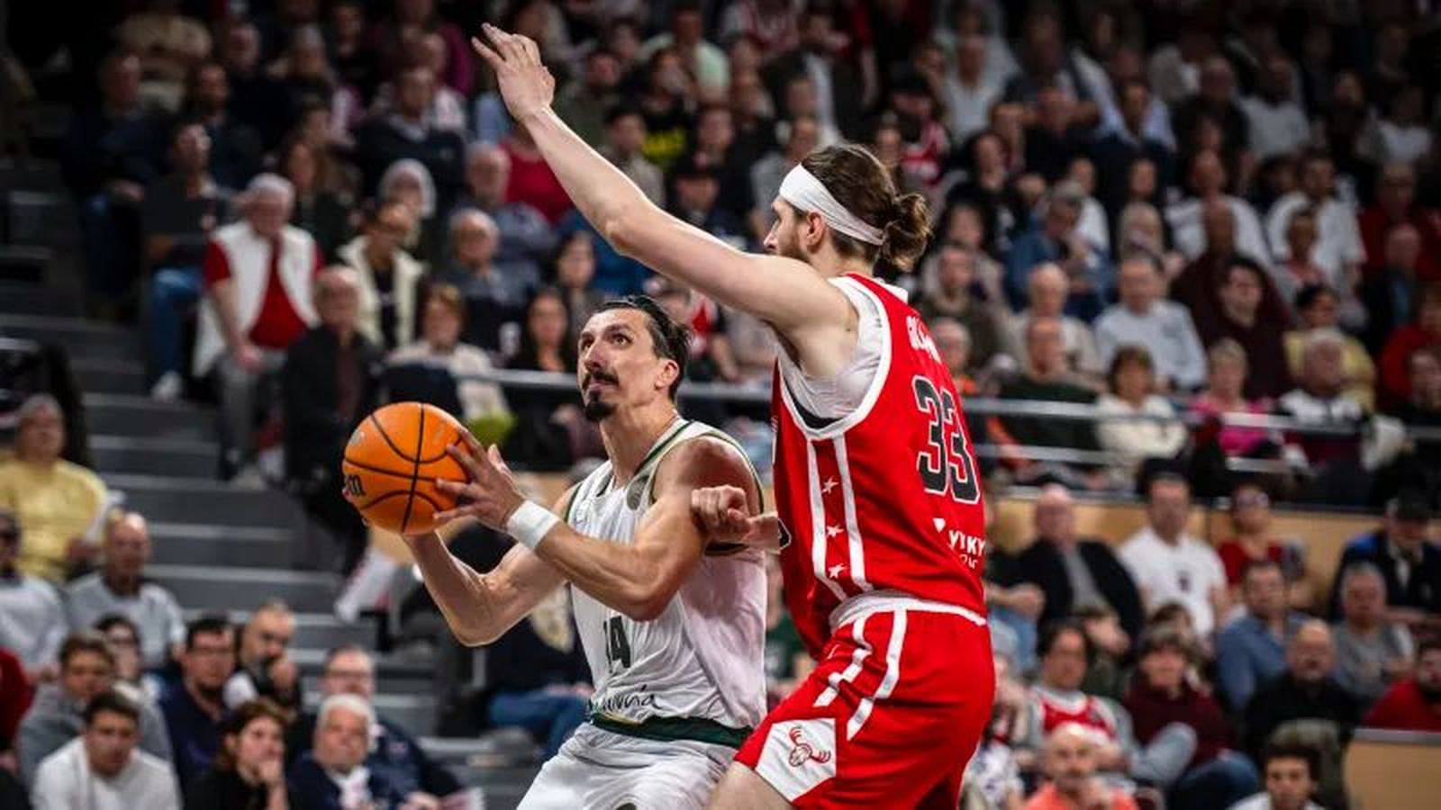 Djedovic, ante Golden.