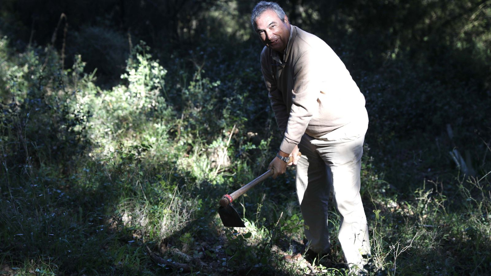 Jornada de reforestación en El Palancar por trabajadores de Acerinox, en imágenes
