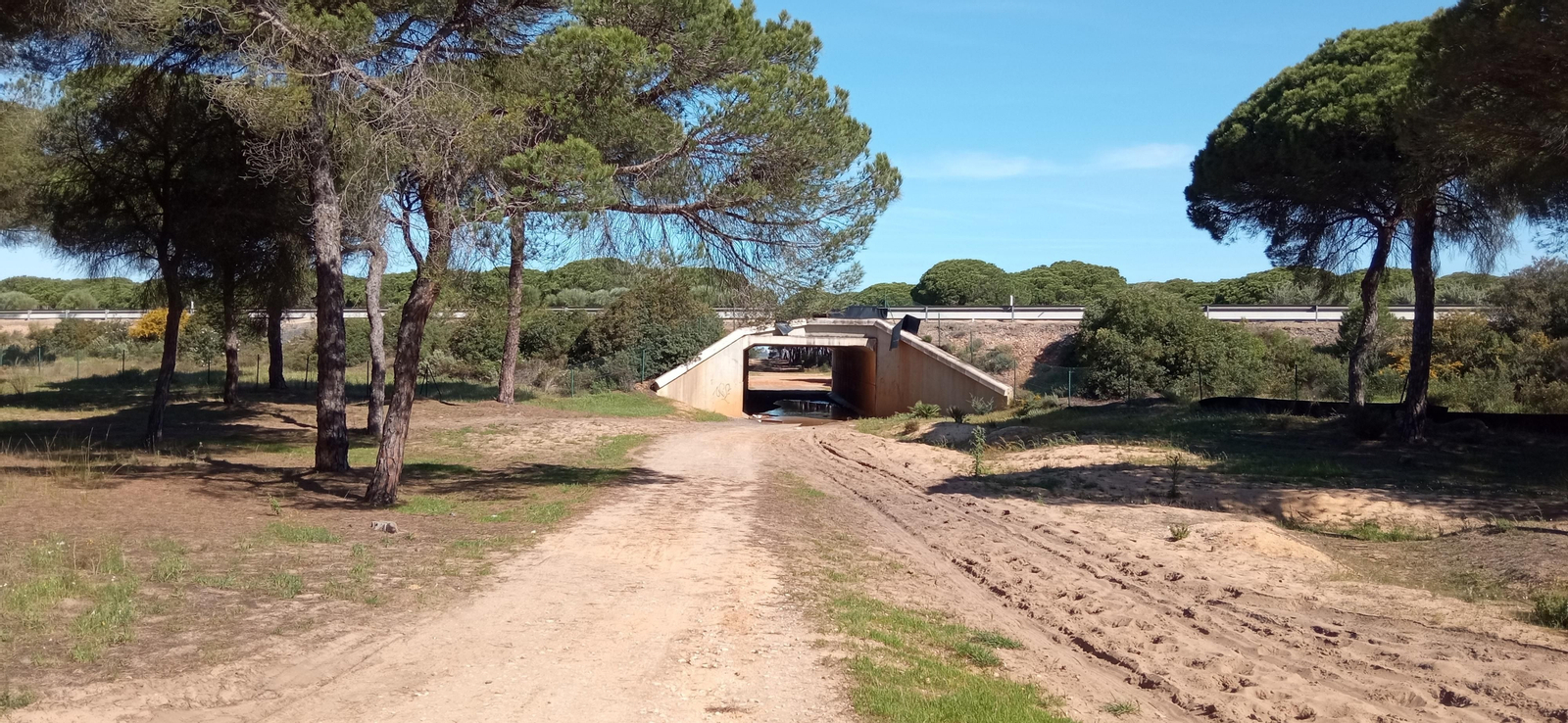 Las imágenes de la ruta de las salinas del Astur y los pinares de Punta Umbría