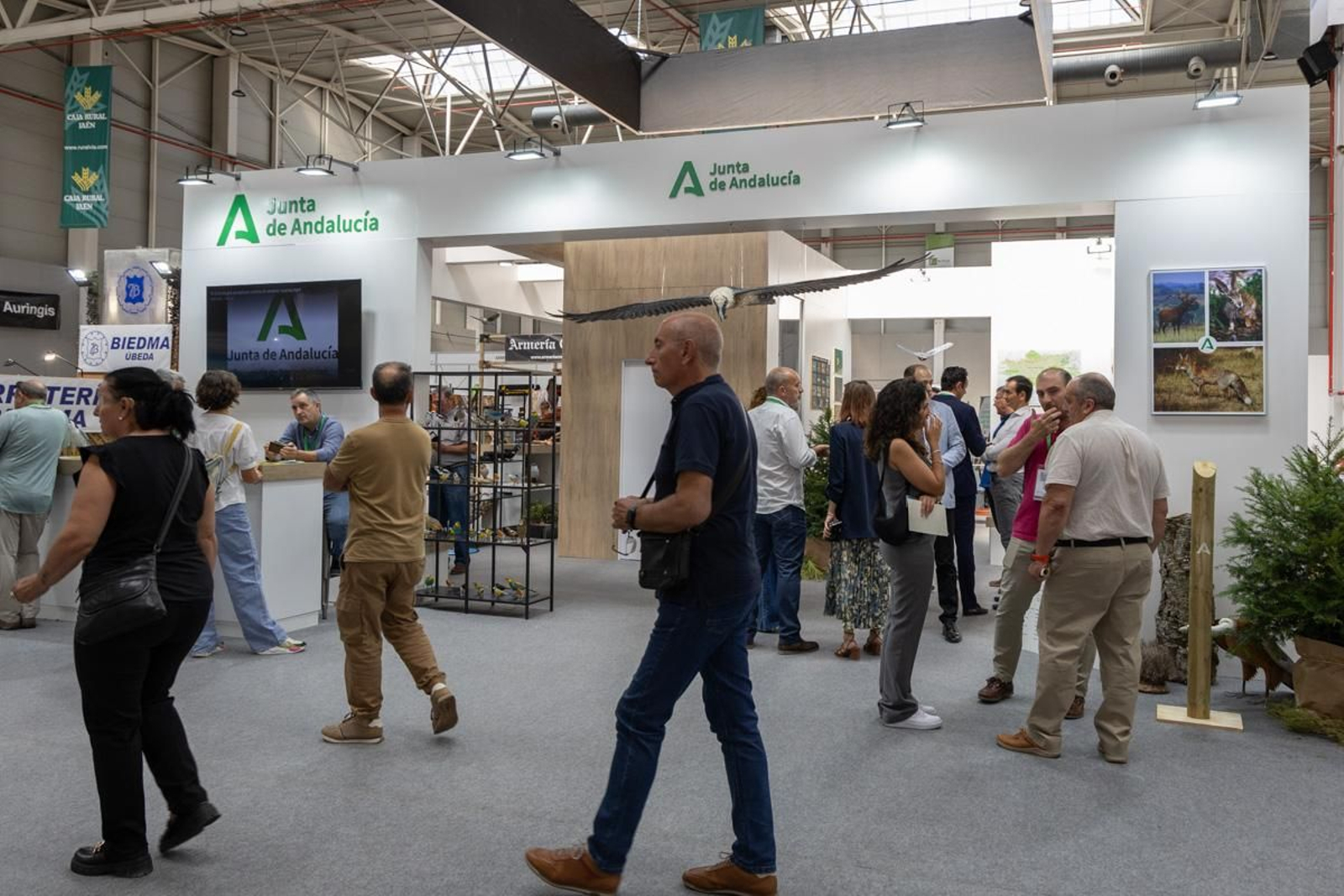 Ibercaza 2024, Jaén