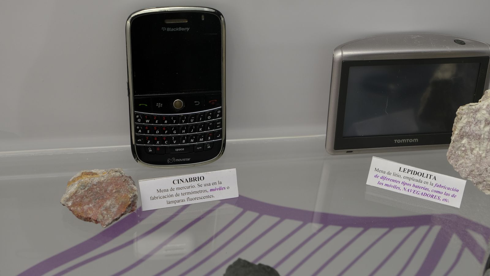 Las mejores imágenes del Pabellón de Historia Natural de la UAL