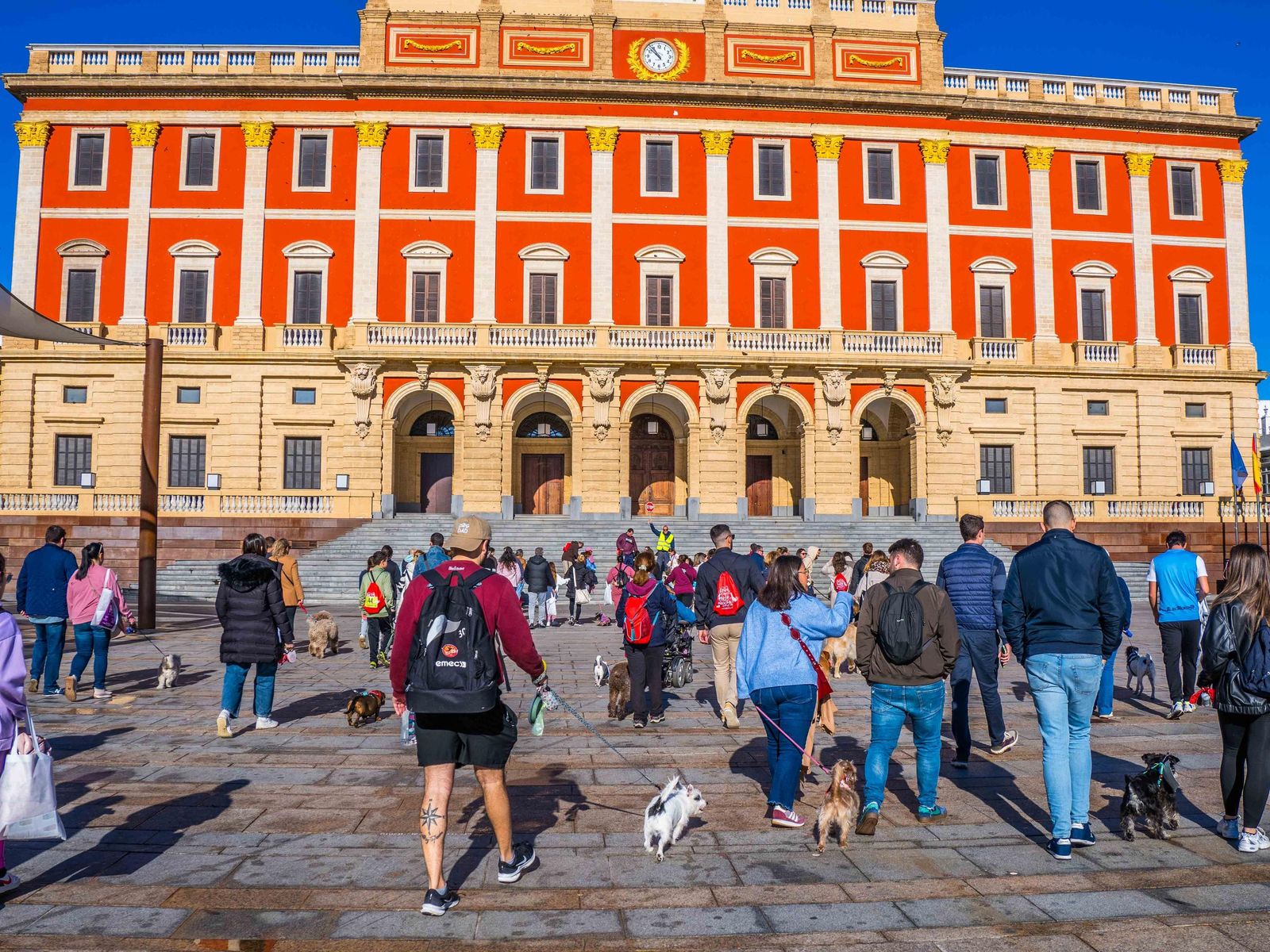 Las imágenes de San Antón 2025 en San Fernando